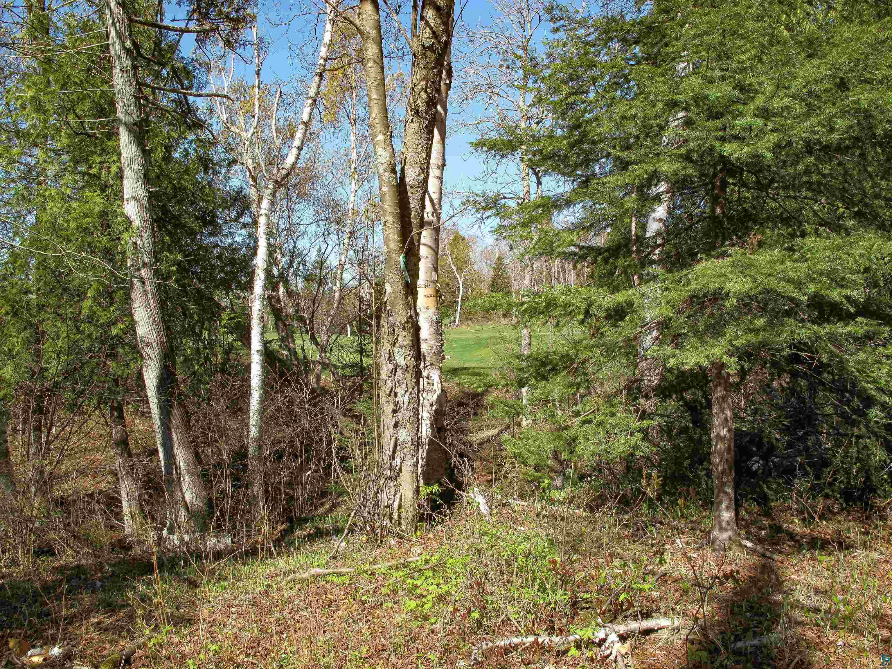 YYY Big Cedar Trl Lutsen MN 55612 6125494 image40