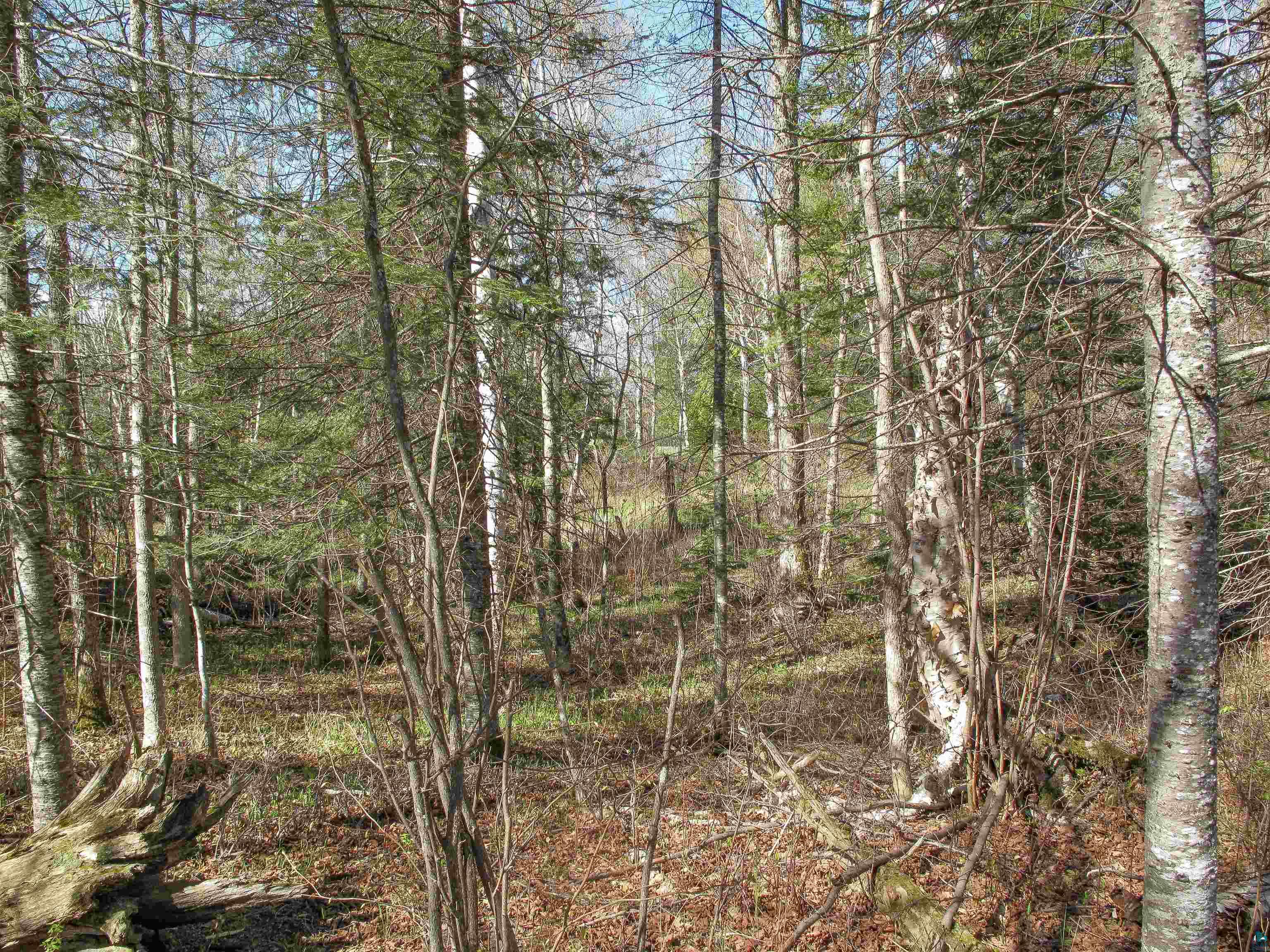 YYY Big Cedar Trl Lutsen MN 55612 6125494 image52