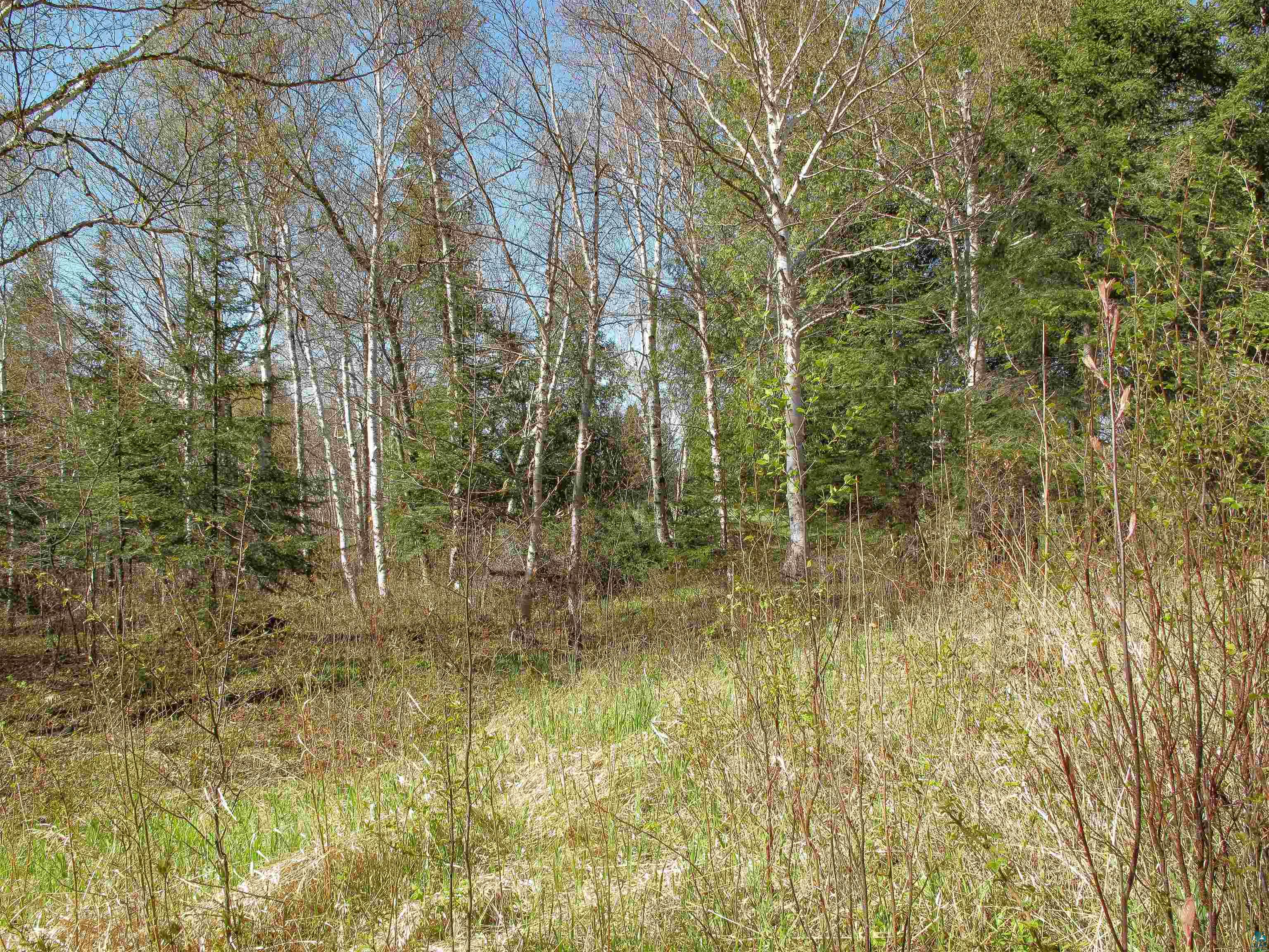 YYY Big Cedar Trl Lutsen MN 55612 6125494 image55
