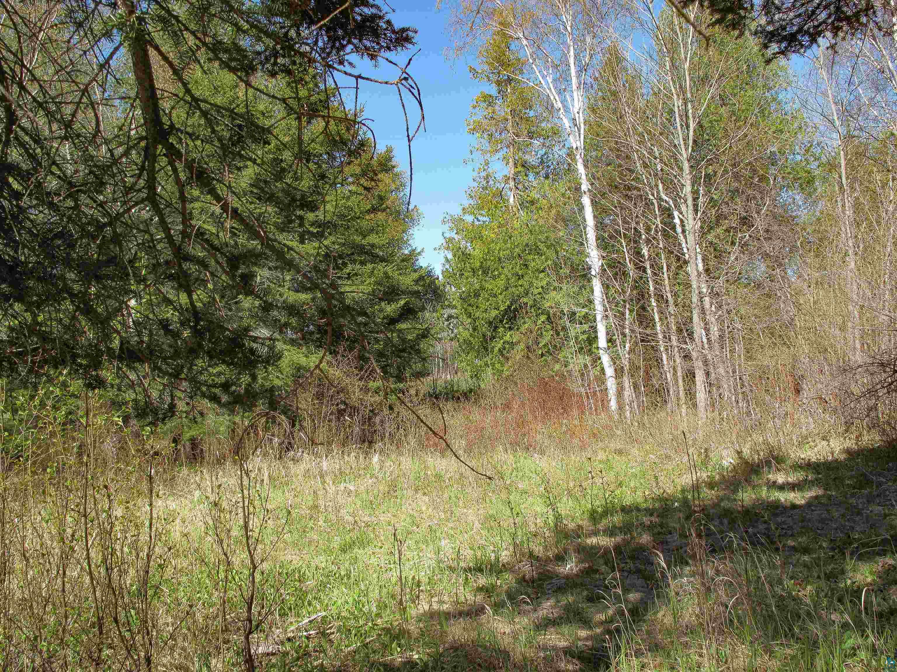 YYY Big Cedar Trl Lutsen MN 55612 6125494 image56