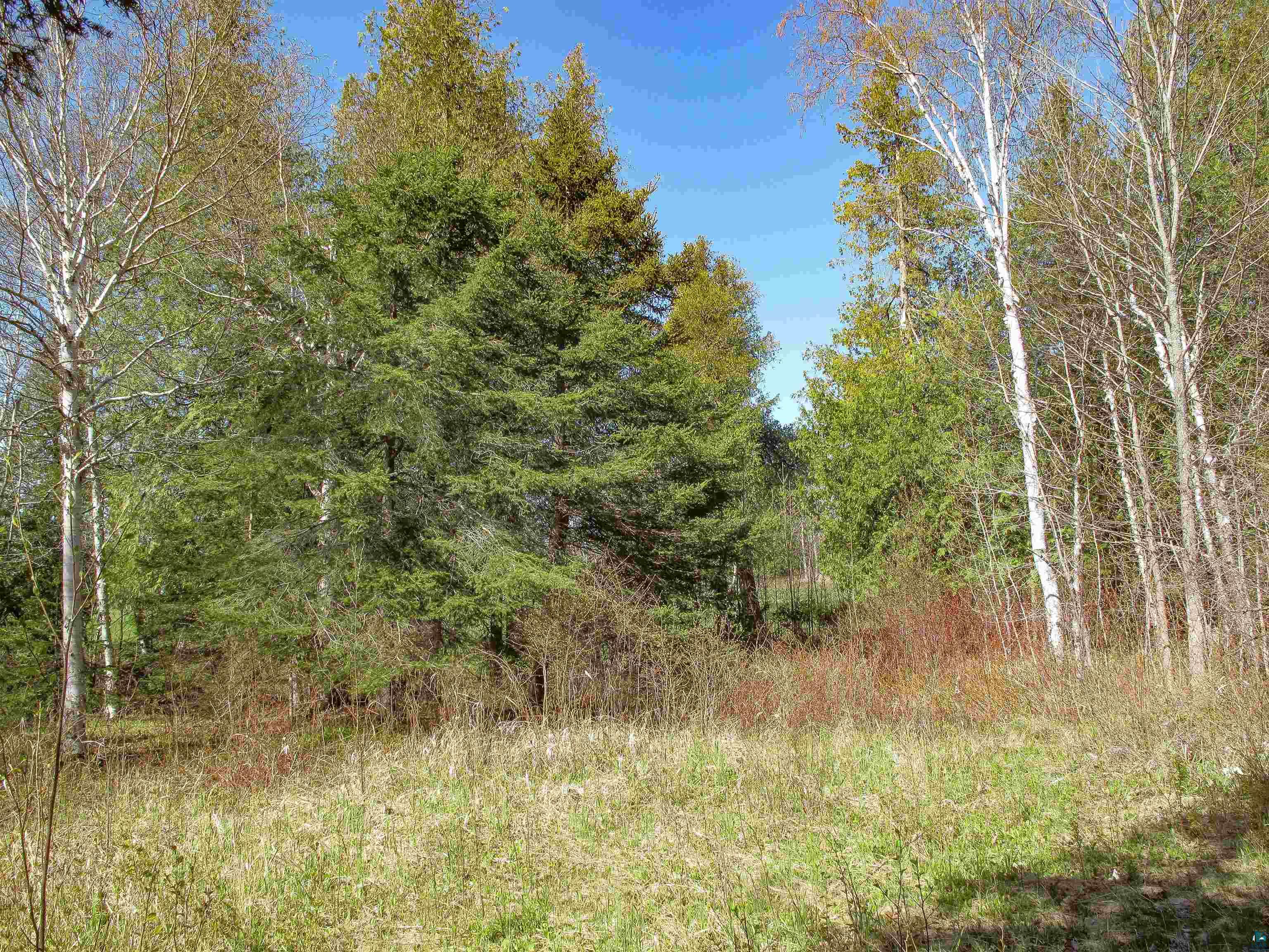YYY Big Cedar Trl Lutsen MN 55612 6125494 image57