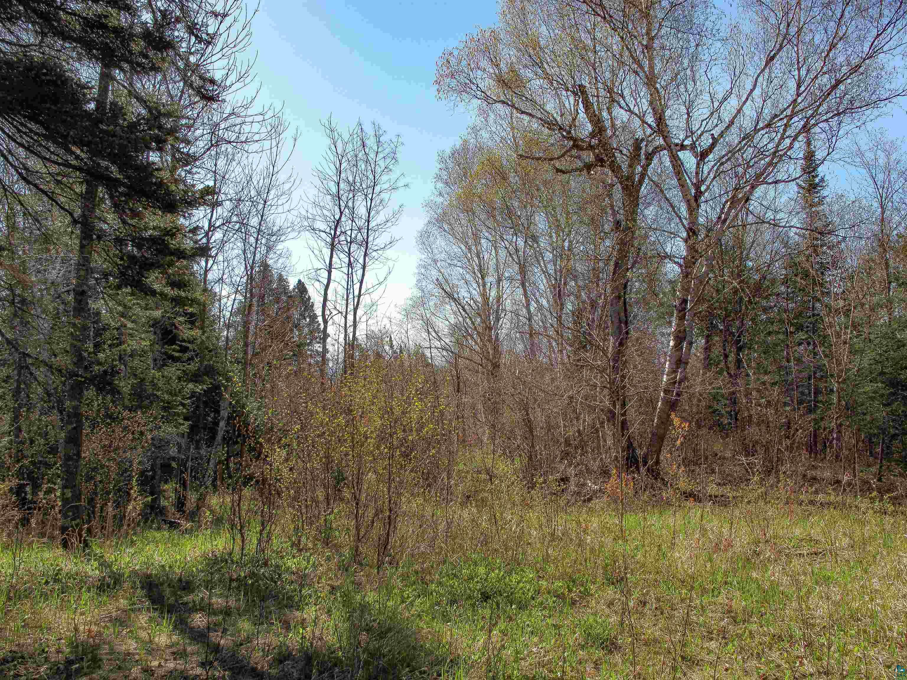 YYY Big Cedar Trl Lutsen MN 55612 6125494 image9