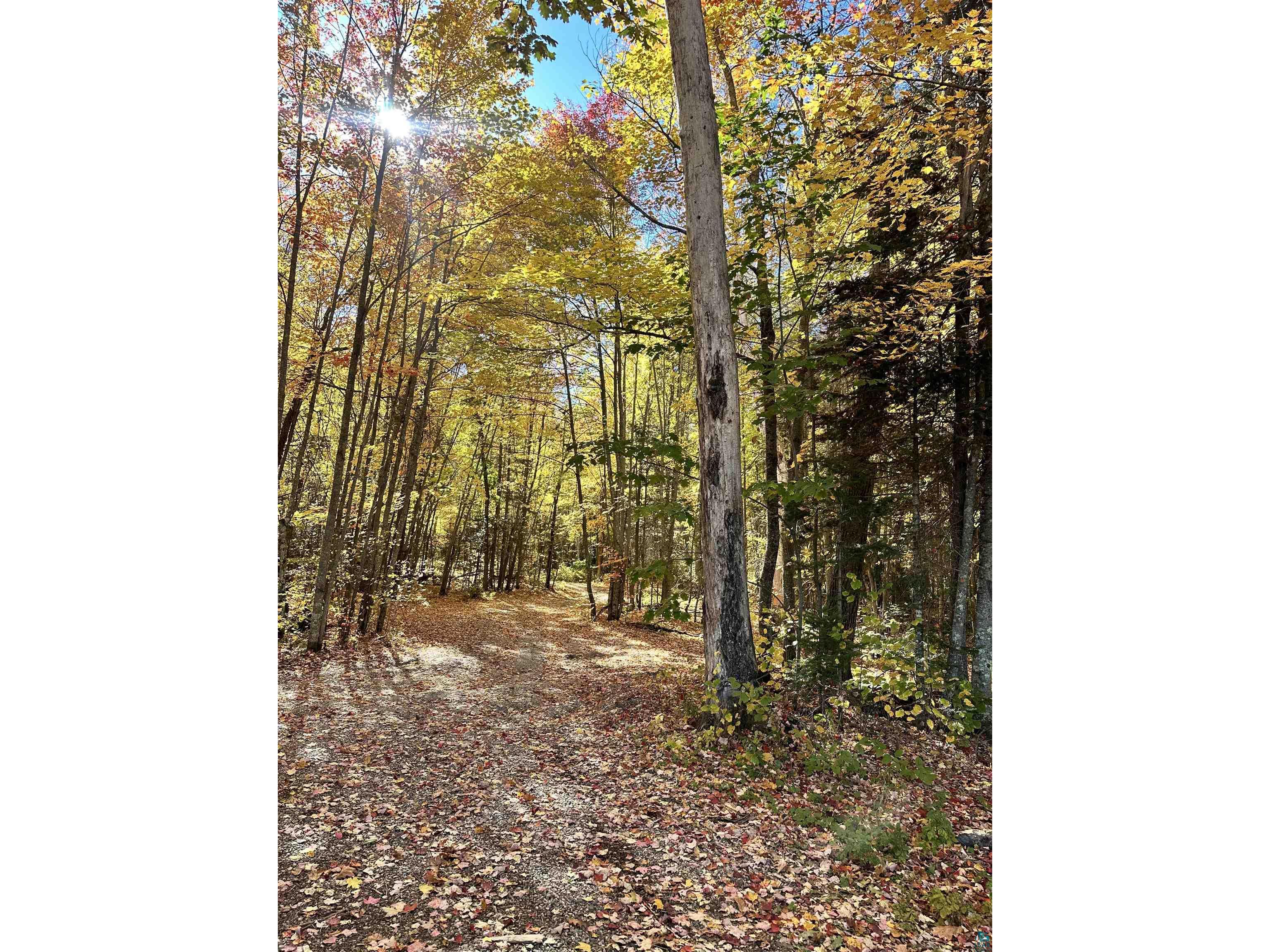 xxx Cemetery Rd Wrenshall MN 55797 6119738 image1