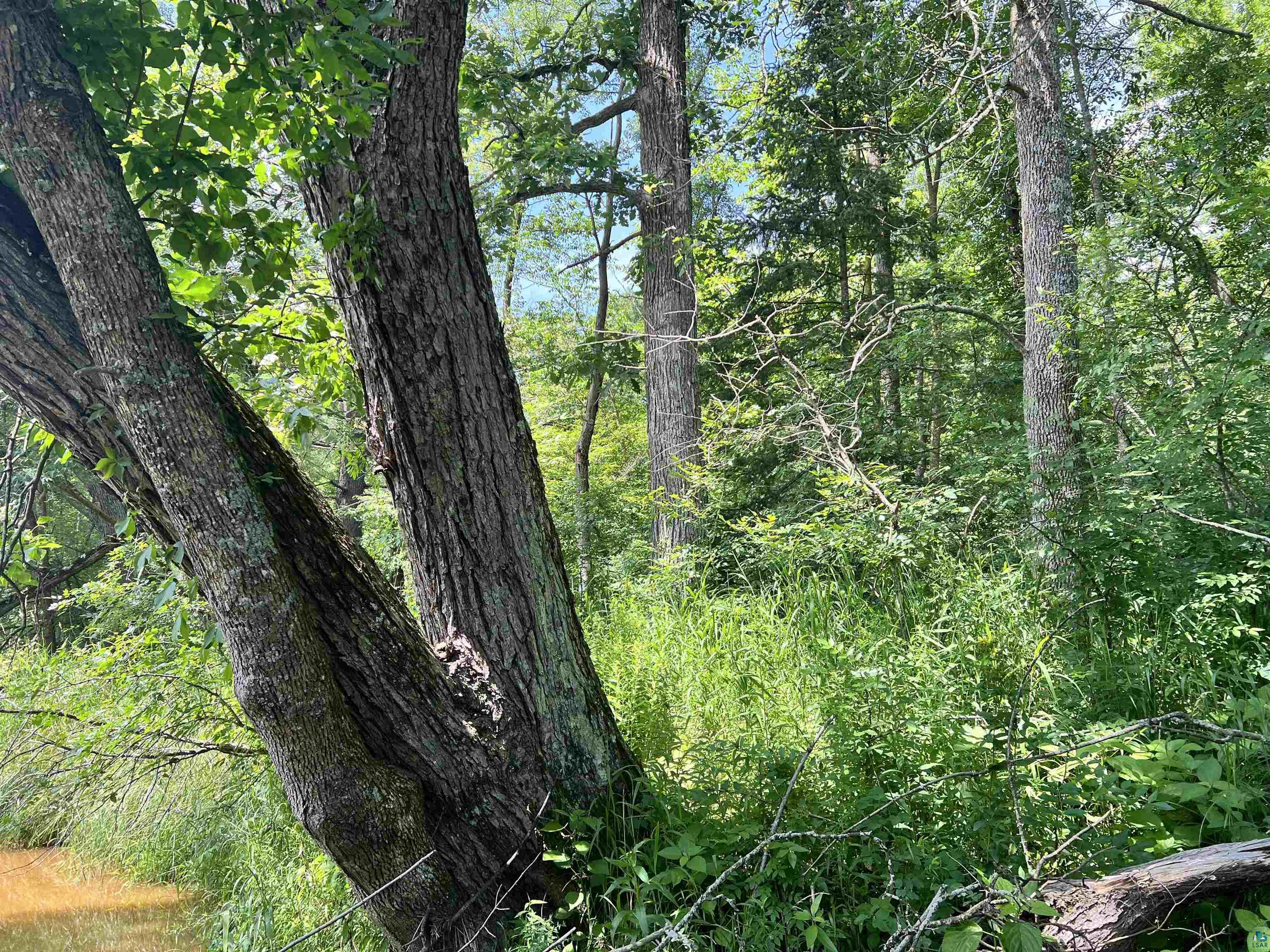 xxx Chippewa Tr Exeland WI 54867 - Chippewa River 6115354 image1