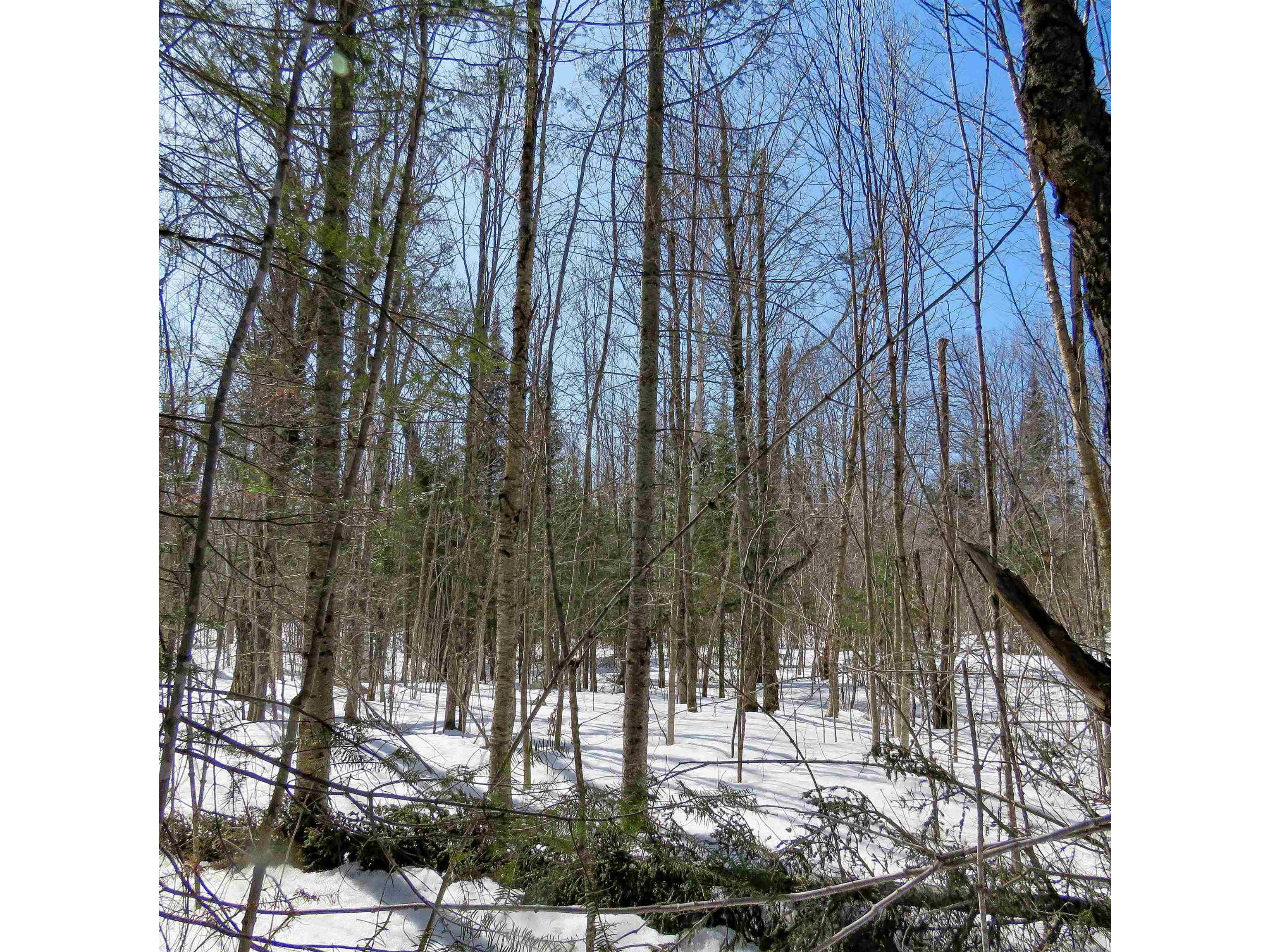 xxx County Hwy 8 Finland MN 55603 6118380 image1