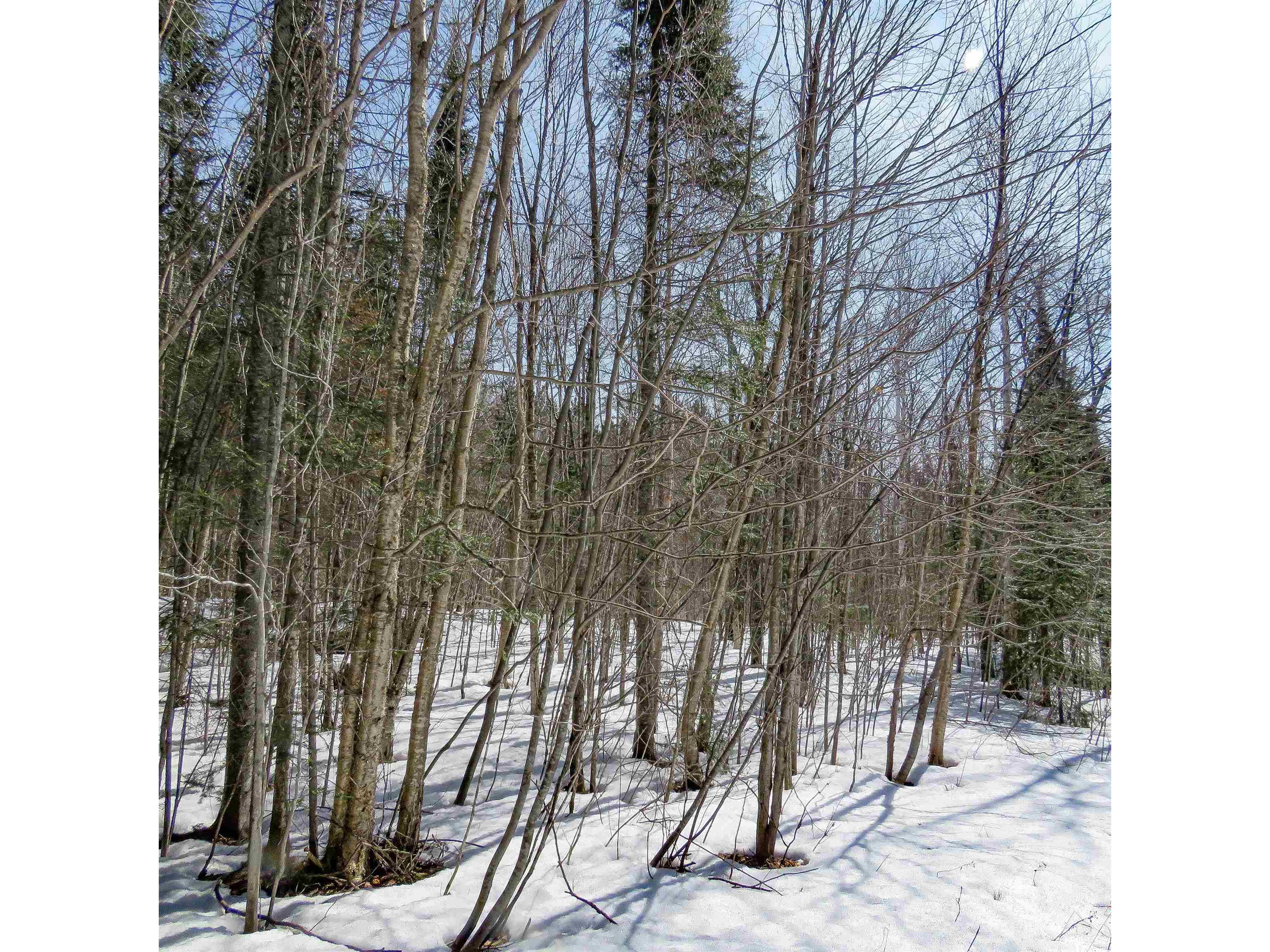 xxx County Hwy 8 Finland MN 55603 6118380 image10