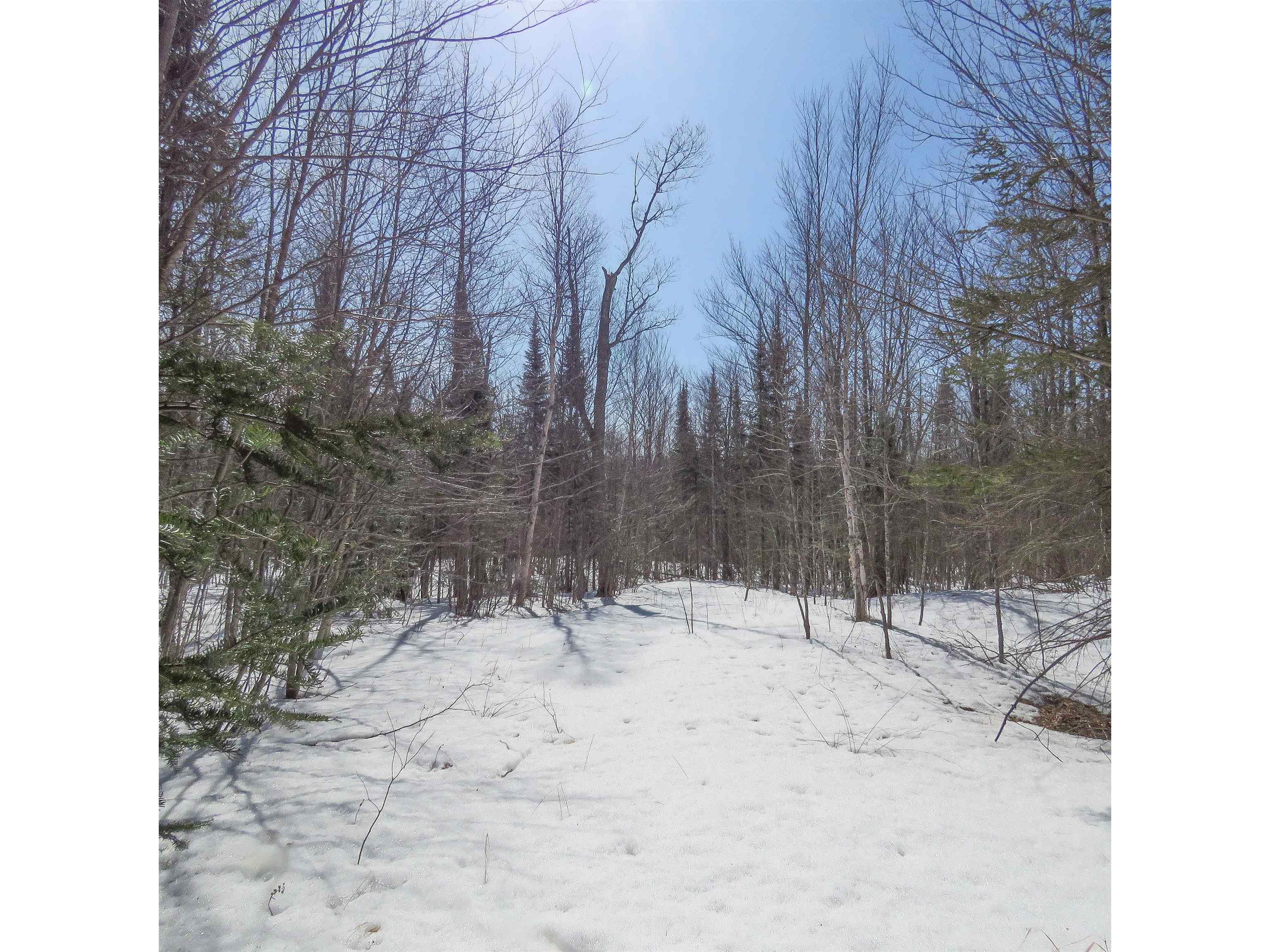 xxx County Hwy 8 Finland MN 55603 6118380 image11