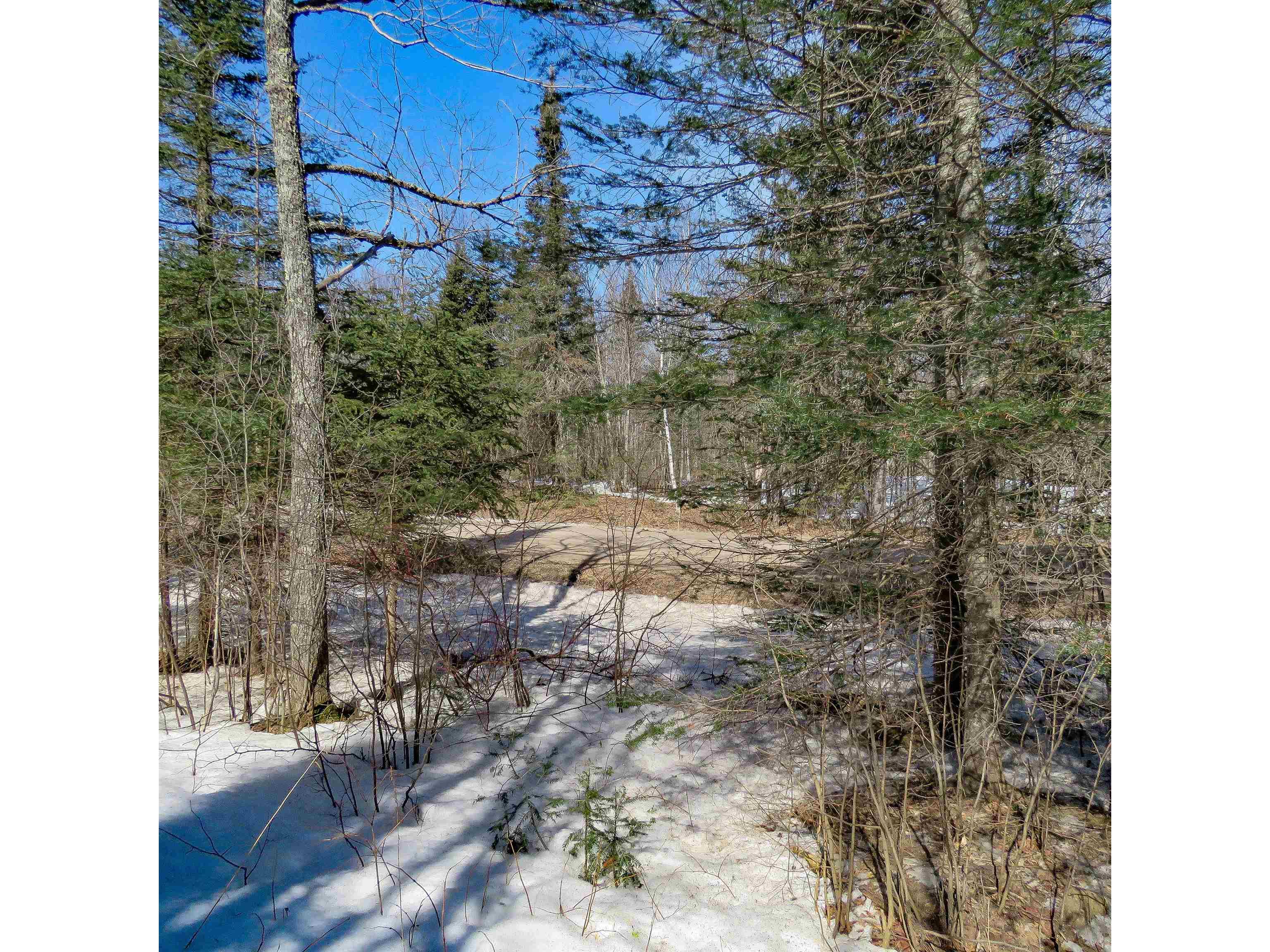 xxx County Hwy 8 Finland MN 55603 6118380 image12