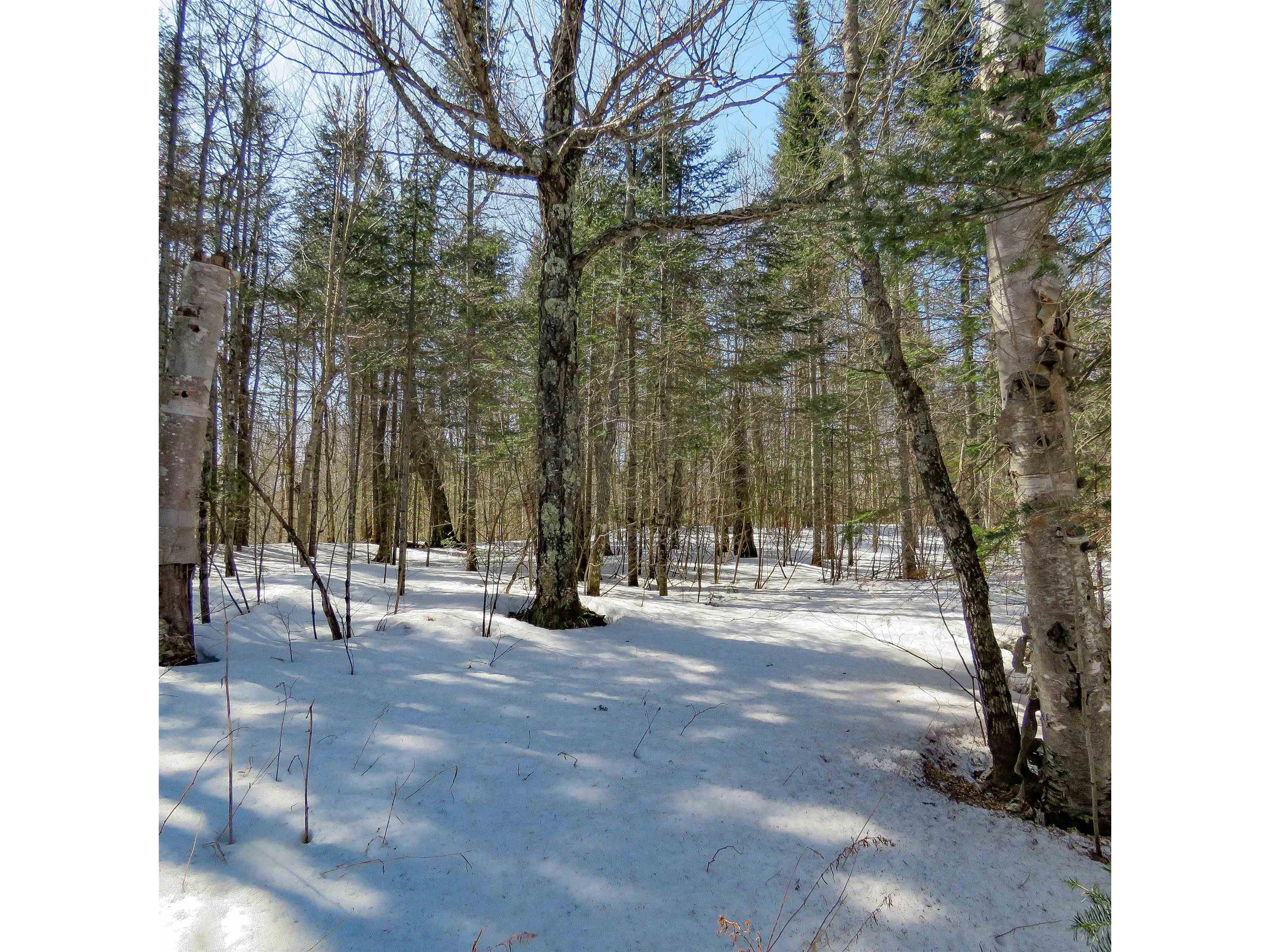 xxx County Hwy 8 Finland MN 55603 6118380 image15