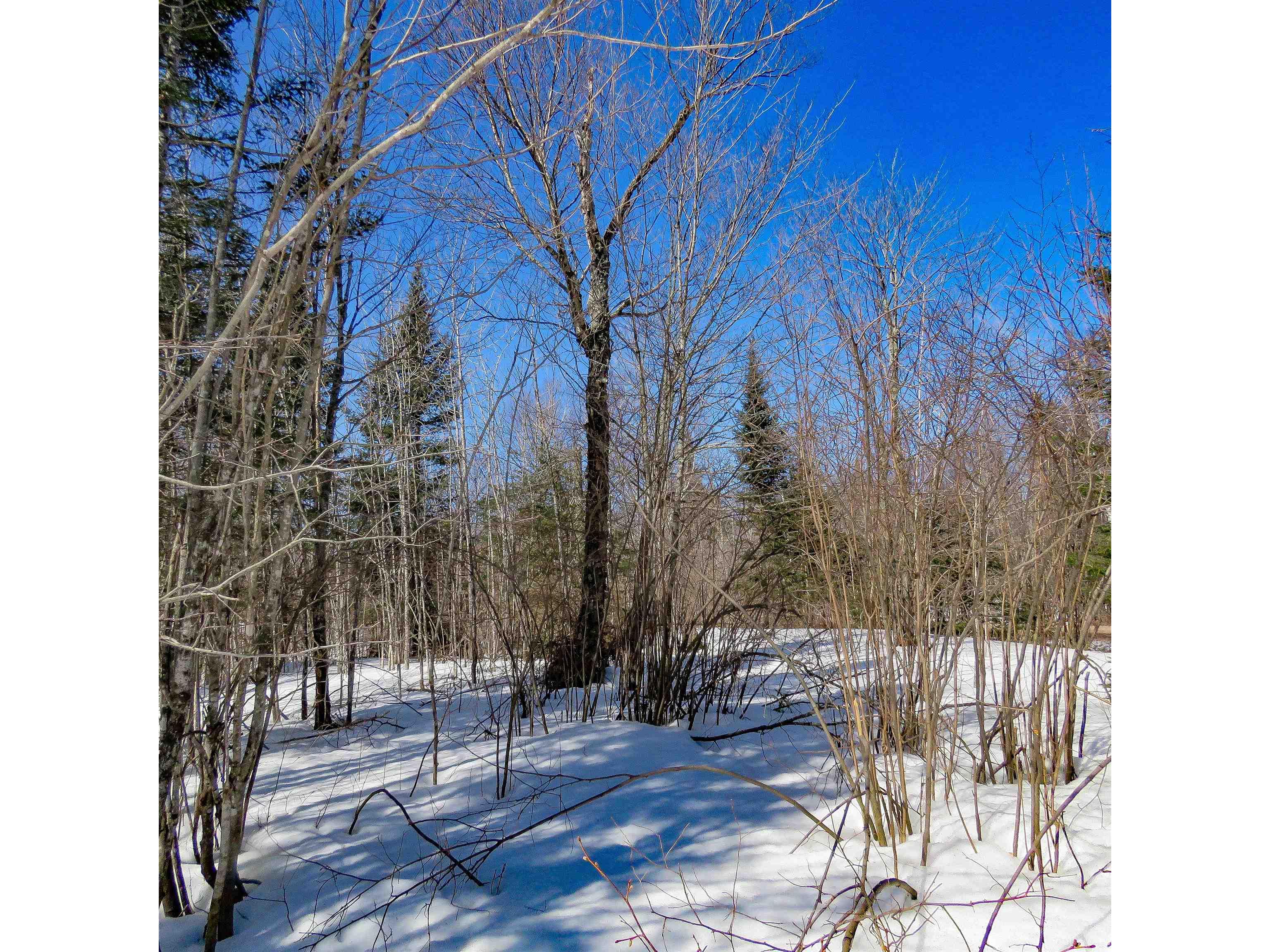 xxx County Hwy 8 Finland MN 55603 6118380 image16