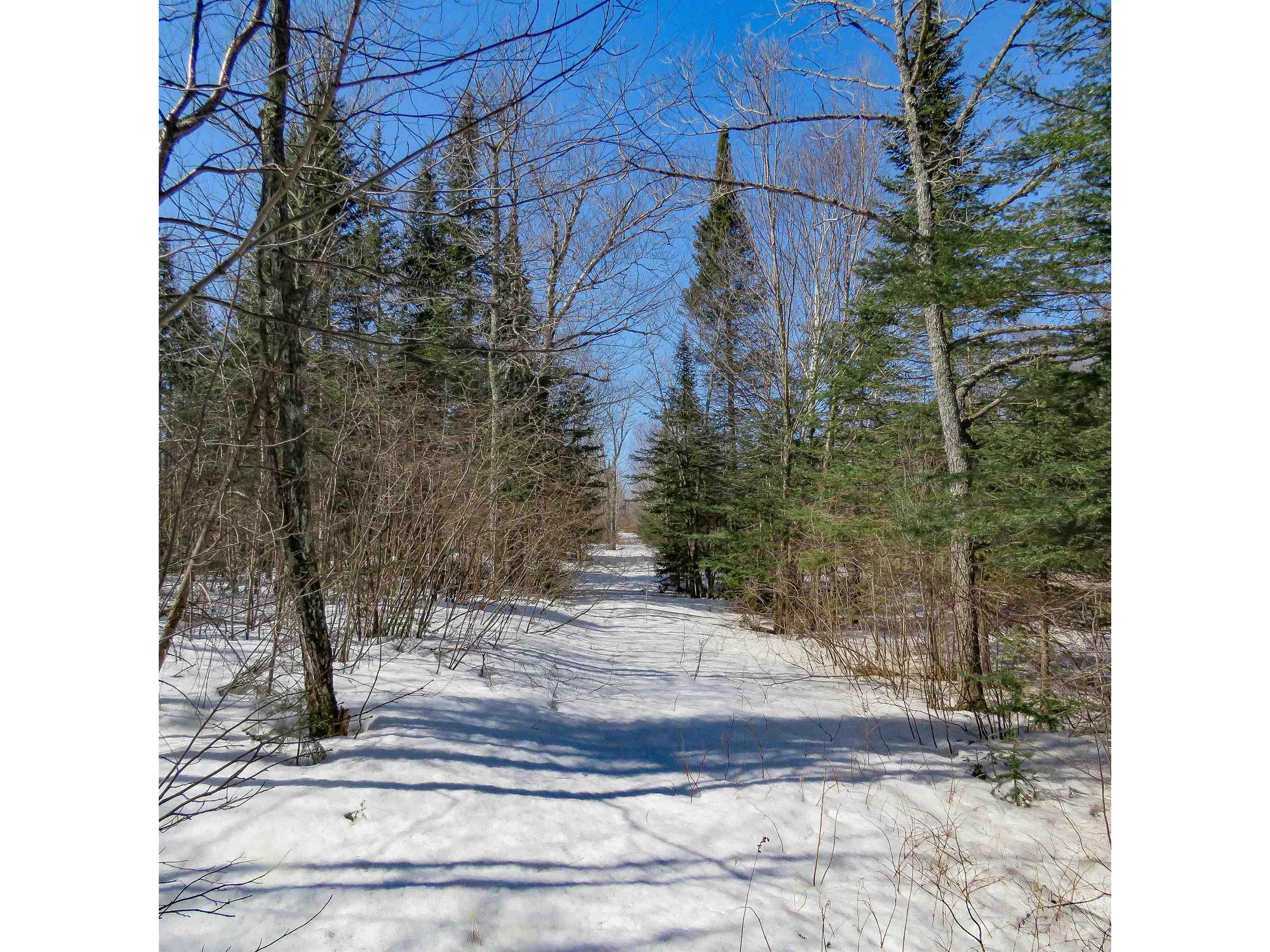 xxx County Hwy 8 Finland MN 55603 6118380 image17