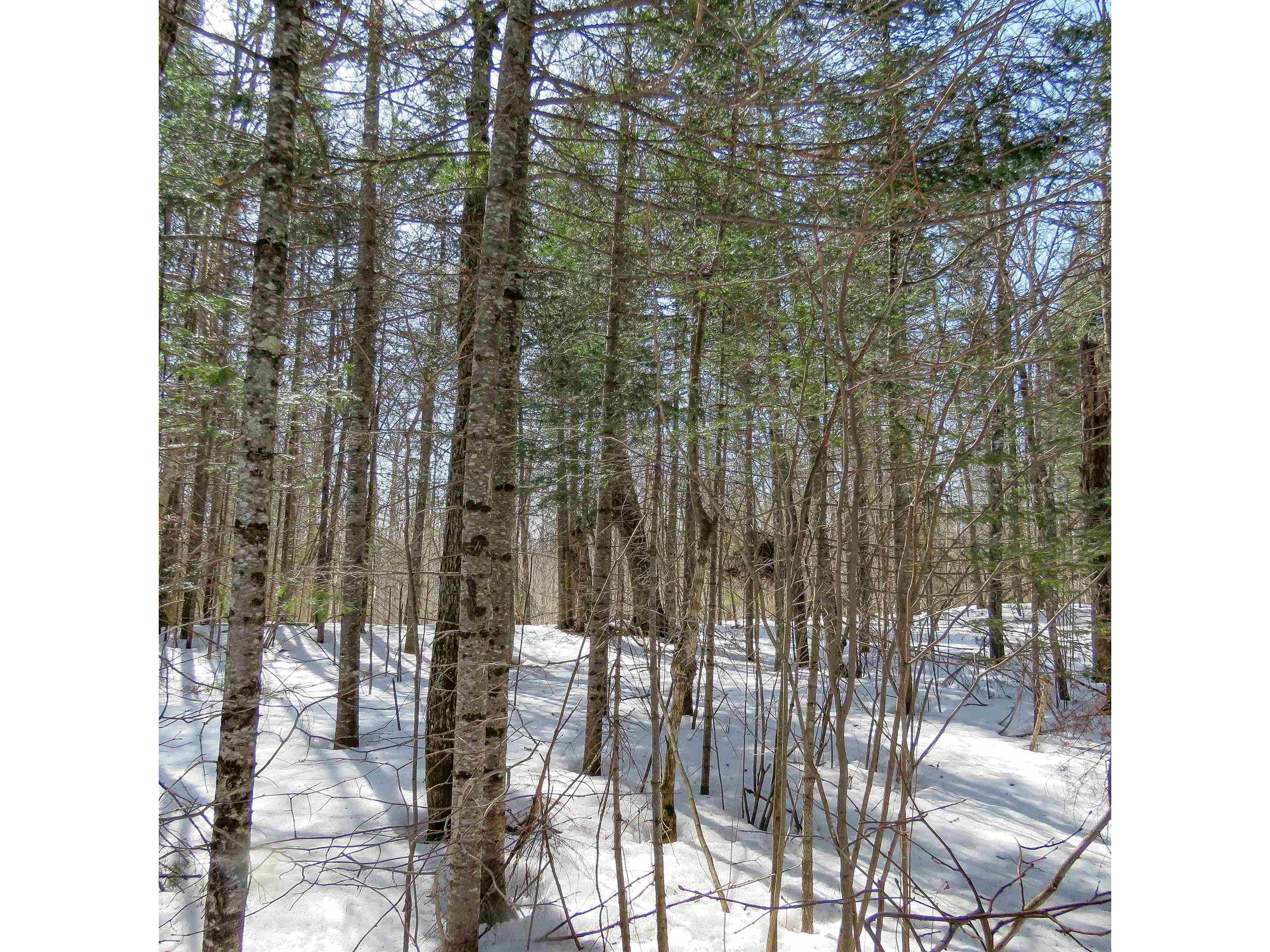 xxx County Hwy 8 Finland MN 55603 6118380 image18