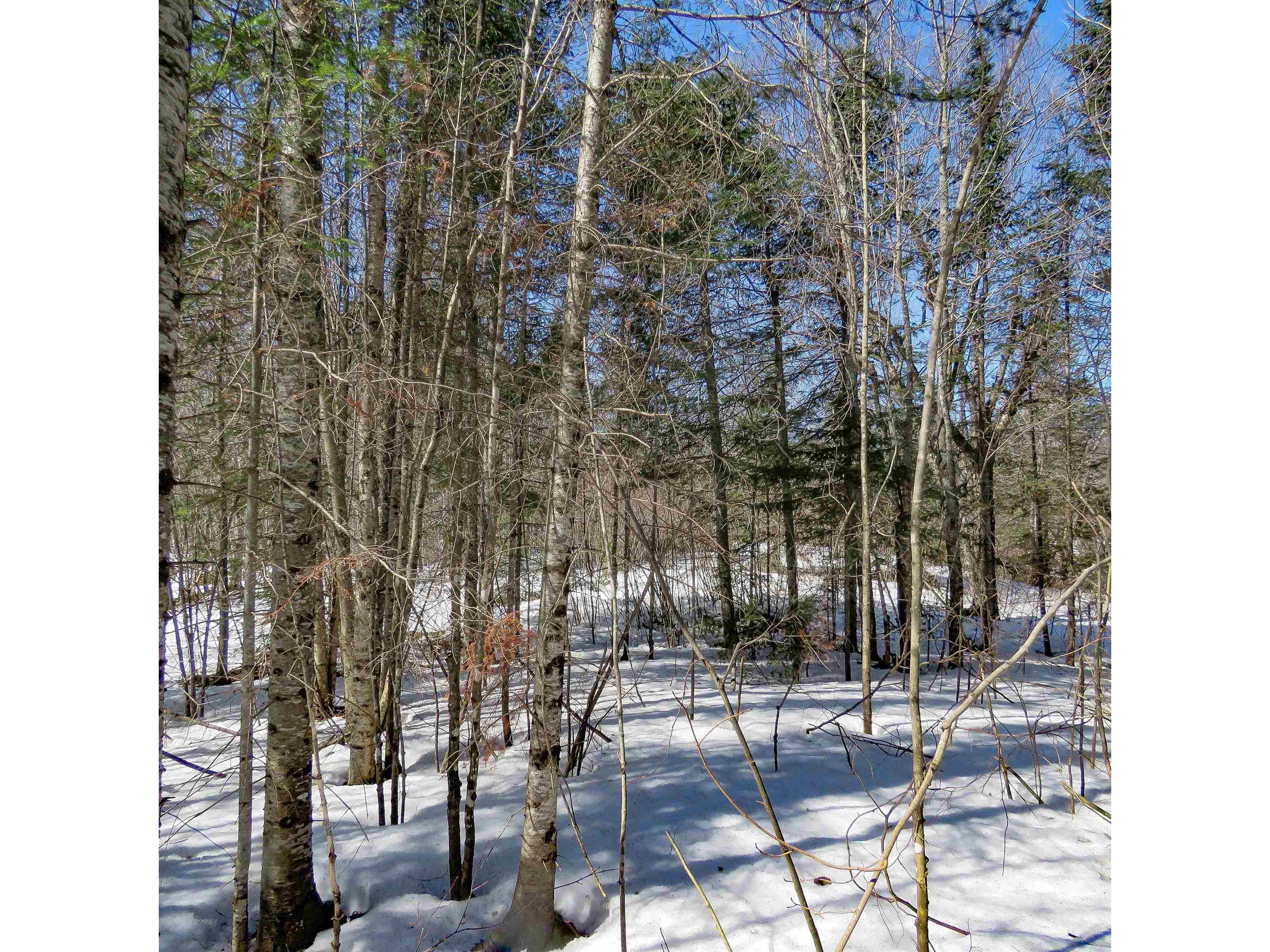 xxx County Hwy 8 Finland MN 55603 6118380 image2