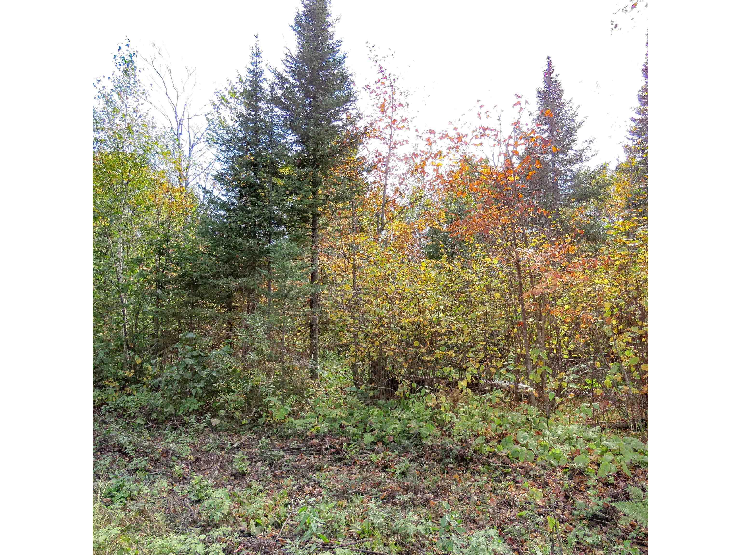 xxx County Hwy 8 Finland MN 55603 6118380 image20