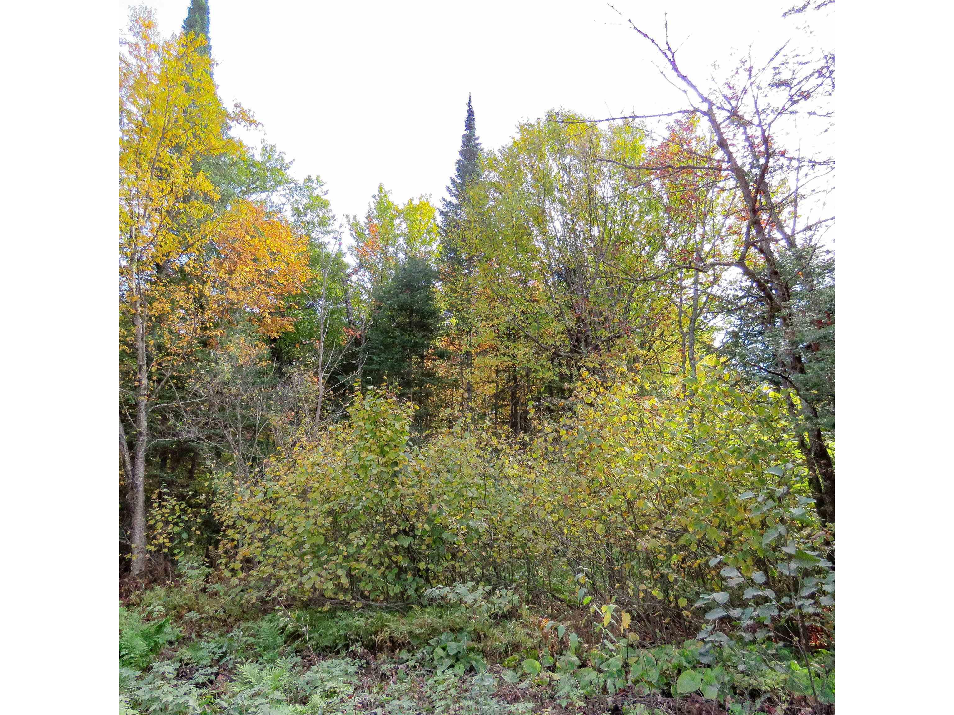 xxx County Hwy 8 Finland MN 55603 6118380 image21