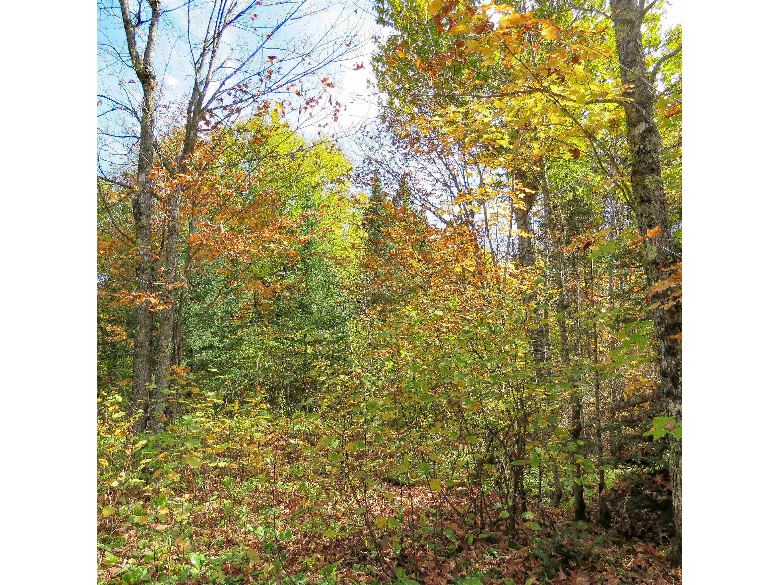 xxx County Hwy 8 Finland MN 55603 6118380 image25