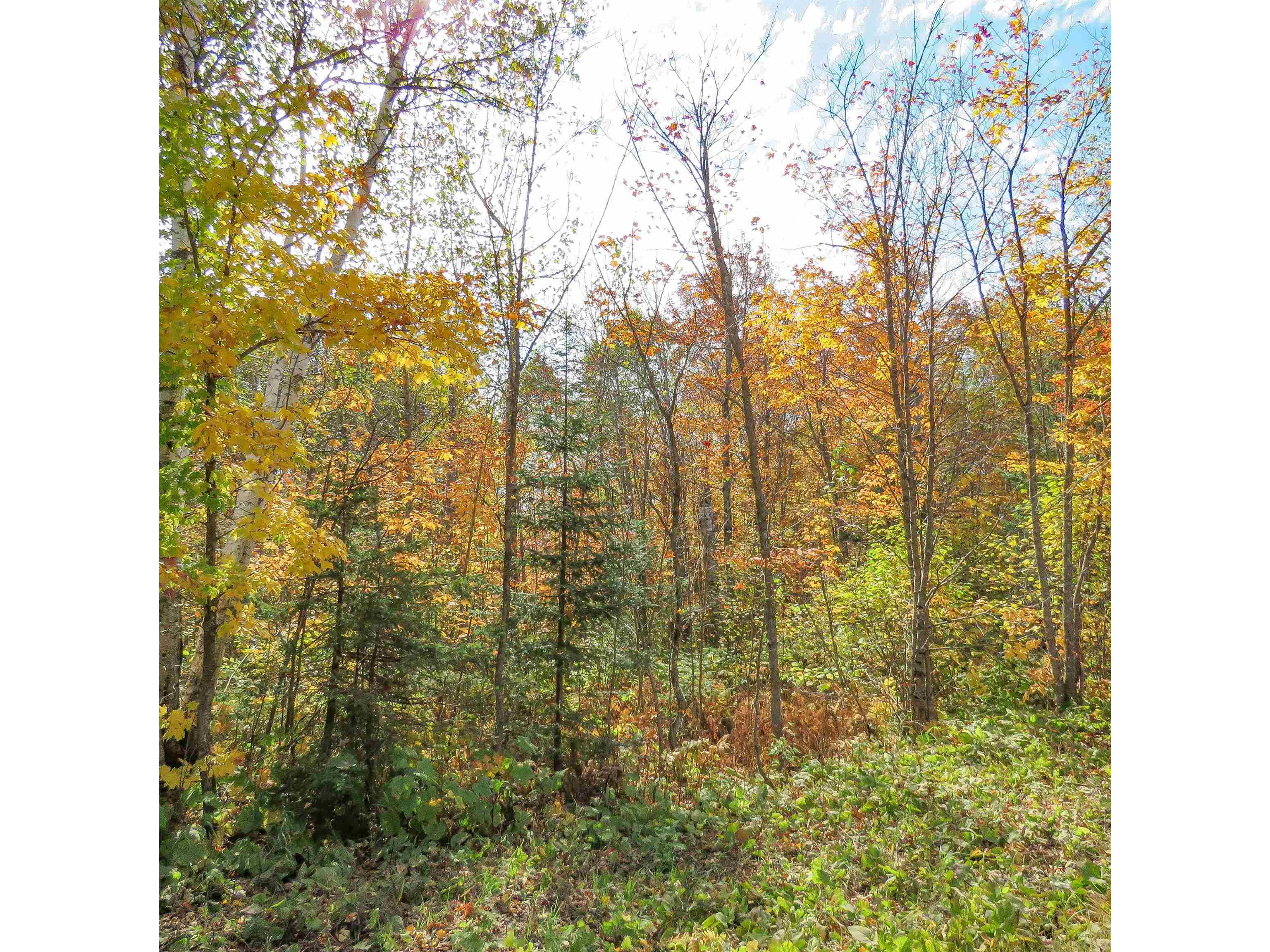 xxx County Hwy 8 Finland MN 55603 6118380 image27