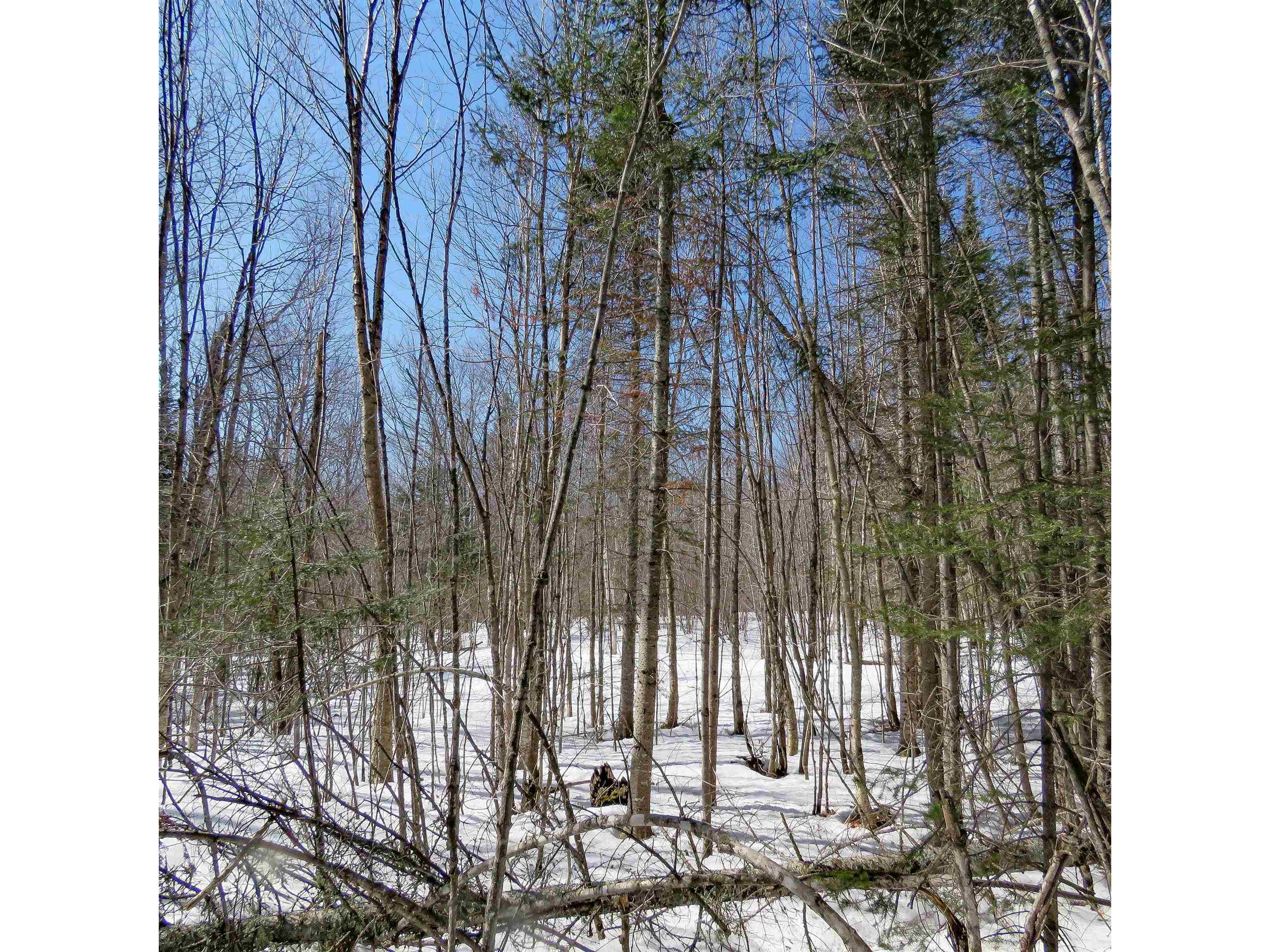 xxx County Hwy 8 Finland MN 55603 6118380 image3