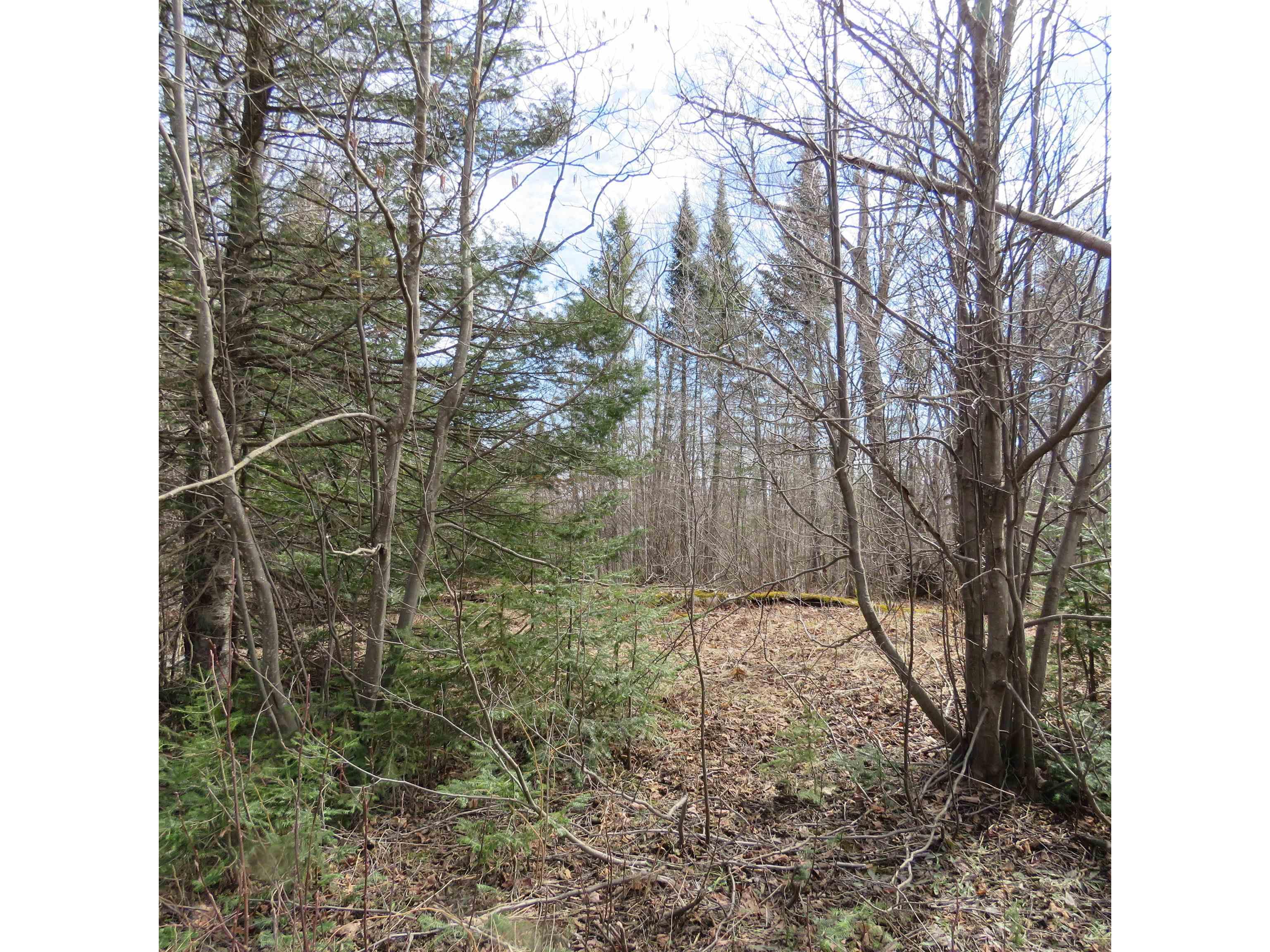 xxx County Hwy 8 Finland MN 55603 6118380 image30