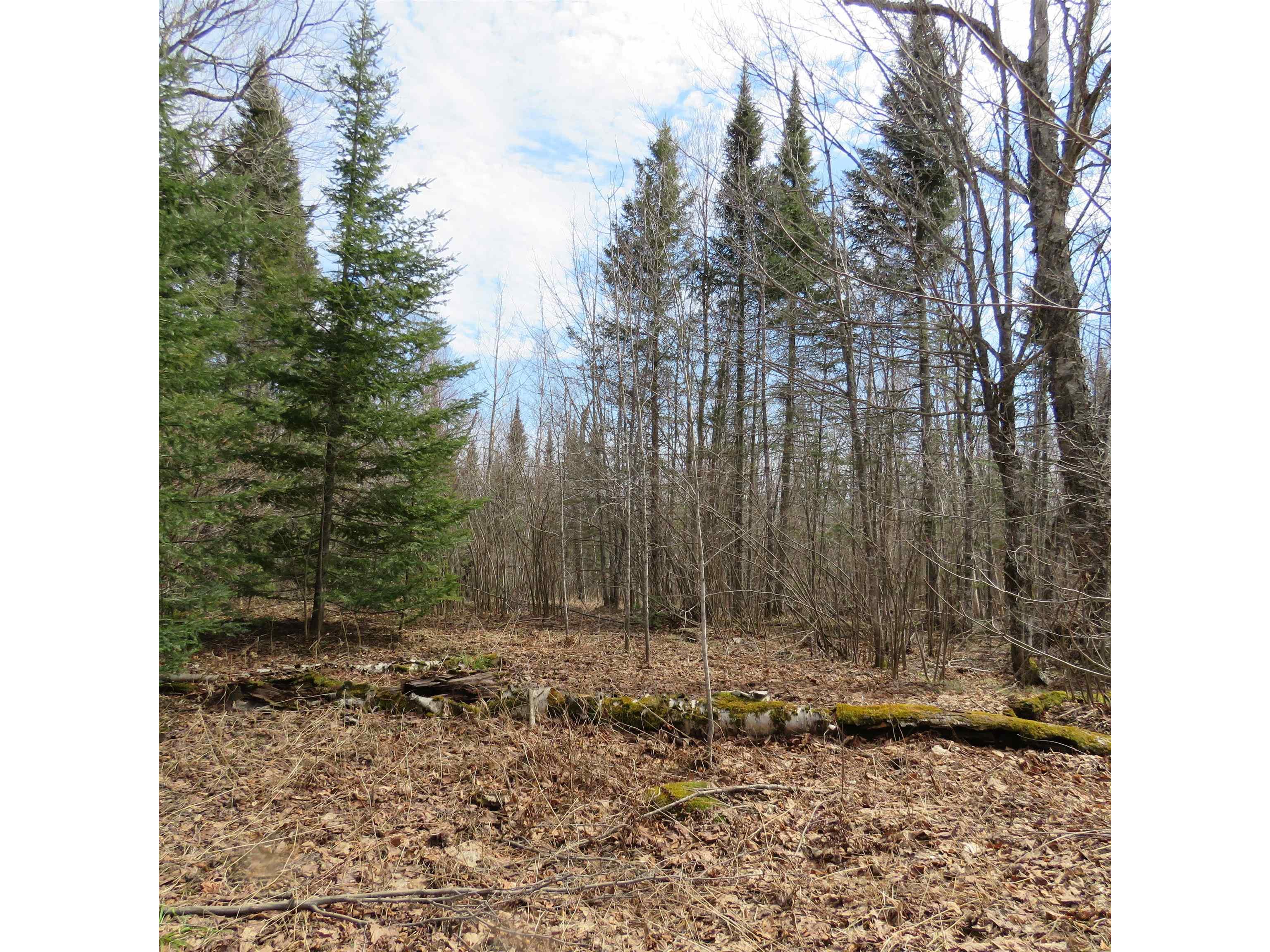 xxx County Hwy 8 Finland MN 55603 6118380 image31