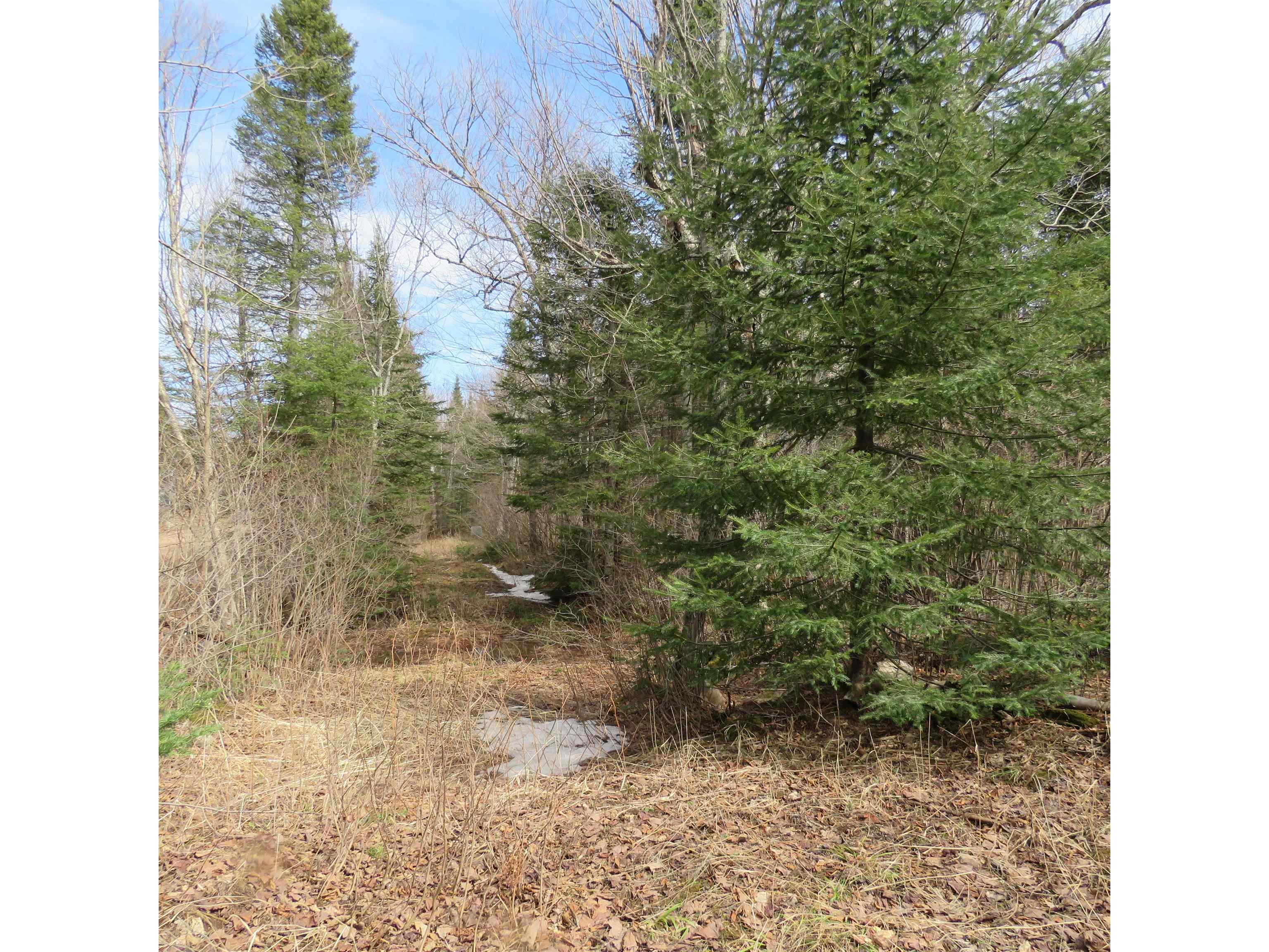 xxx County Hwy 8 Finland MN 55603 6118380 image32