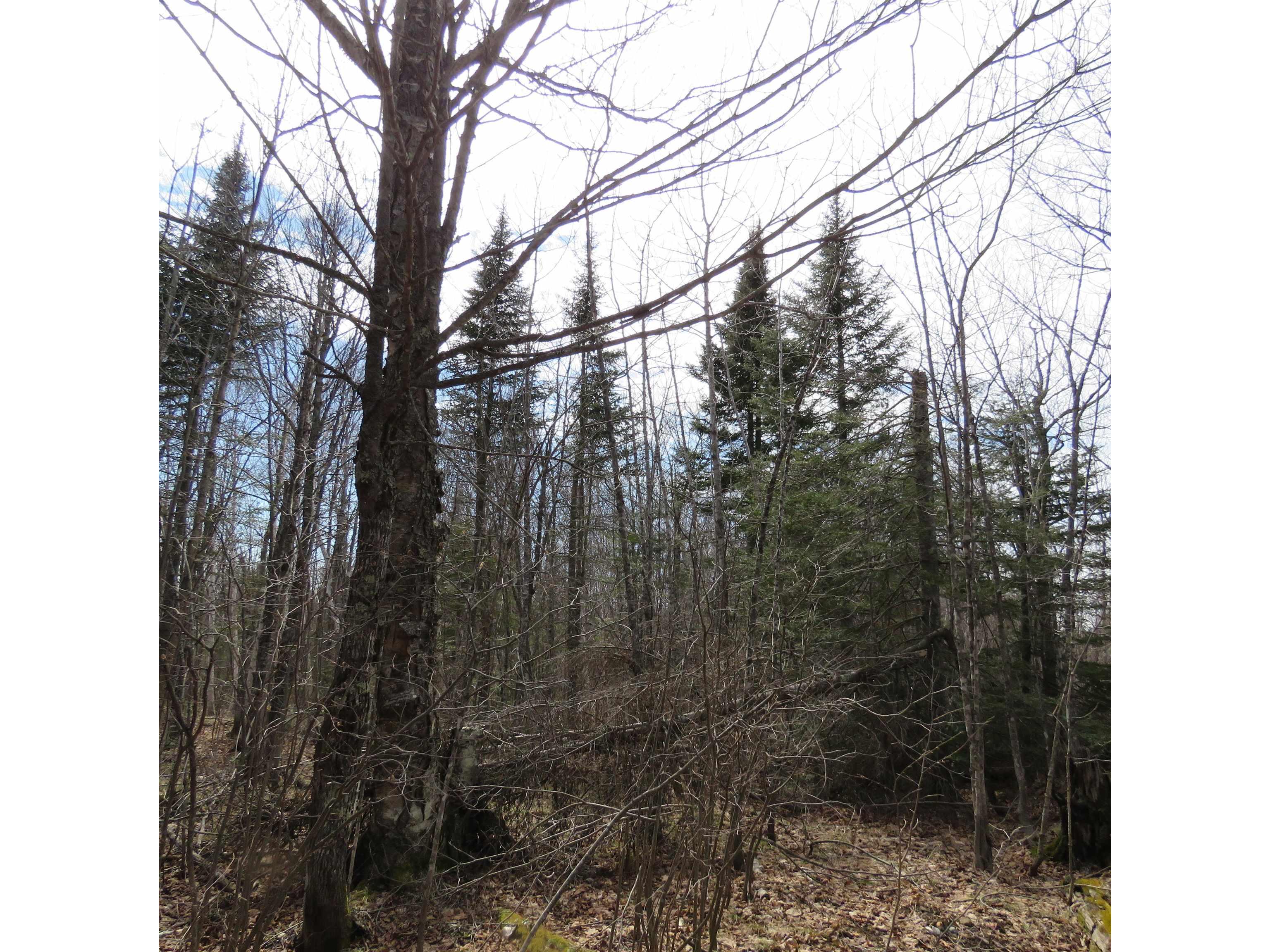 xxx County Hwy 8 Finland MN 55603 6118380 image33