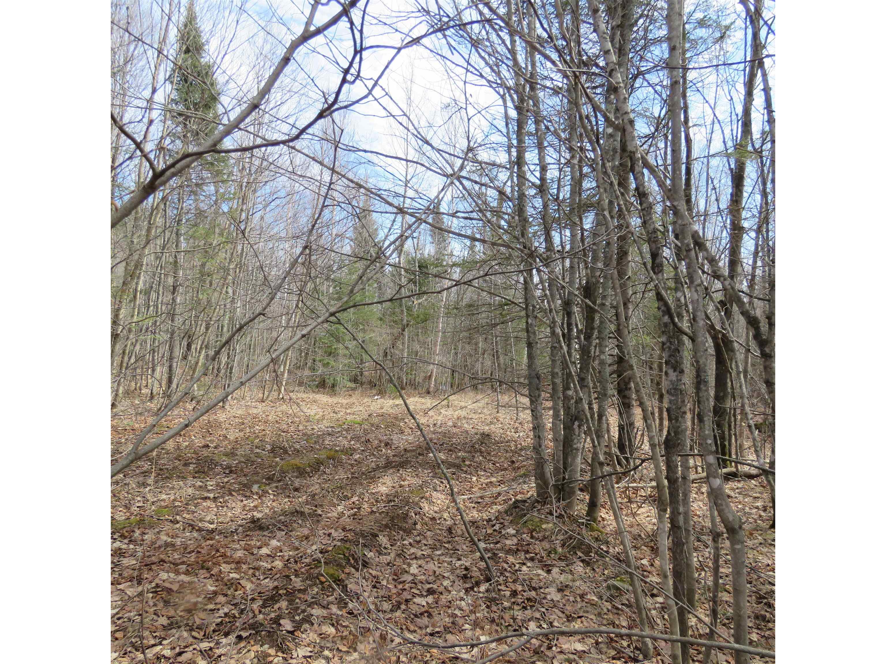 xxx County Hwy 8 Finland MN 55603 6118380 image34