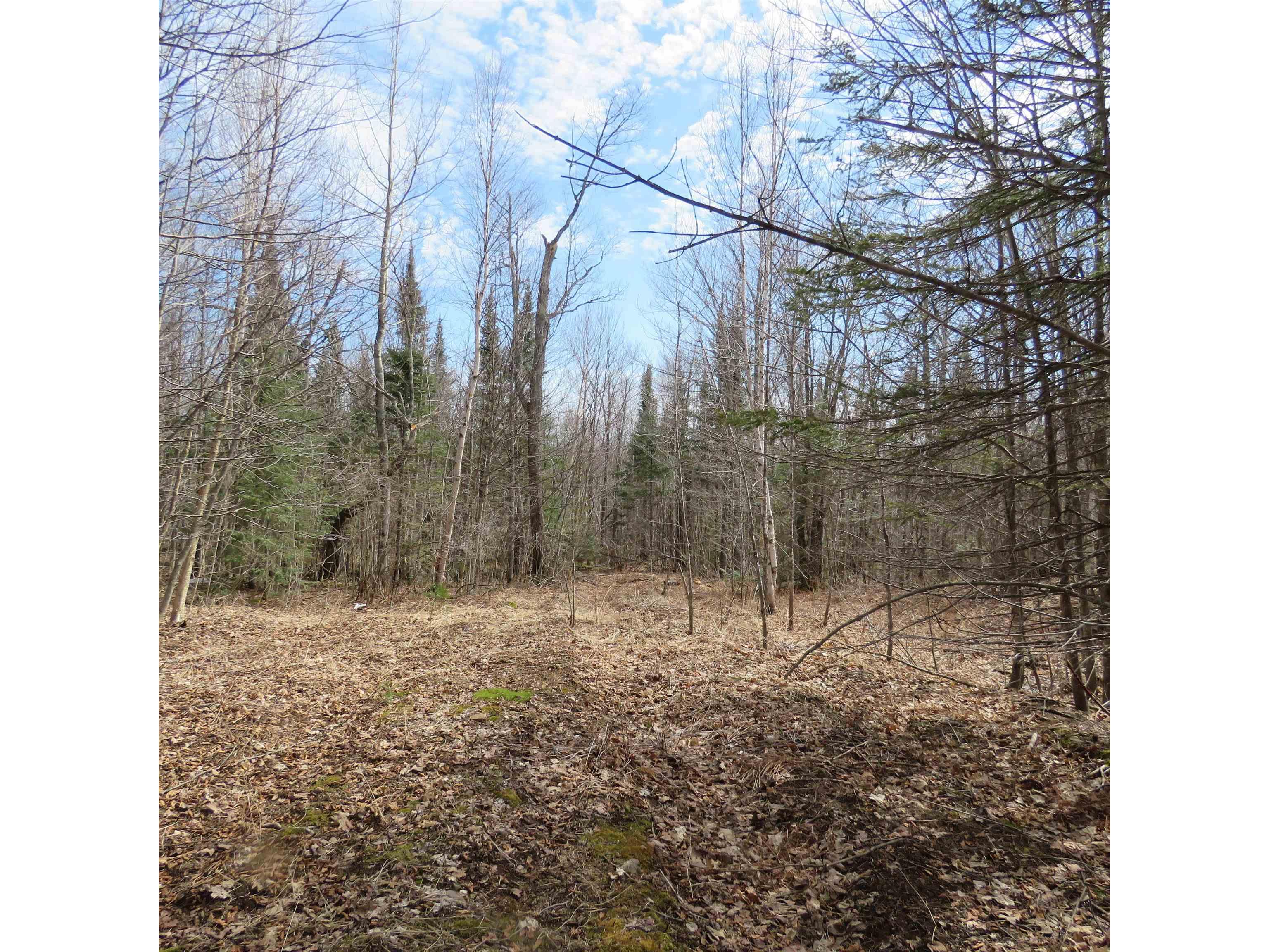 xxx County Hwy 8 Finland MN 55603 6118380 image35