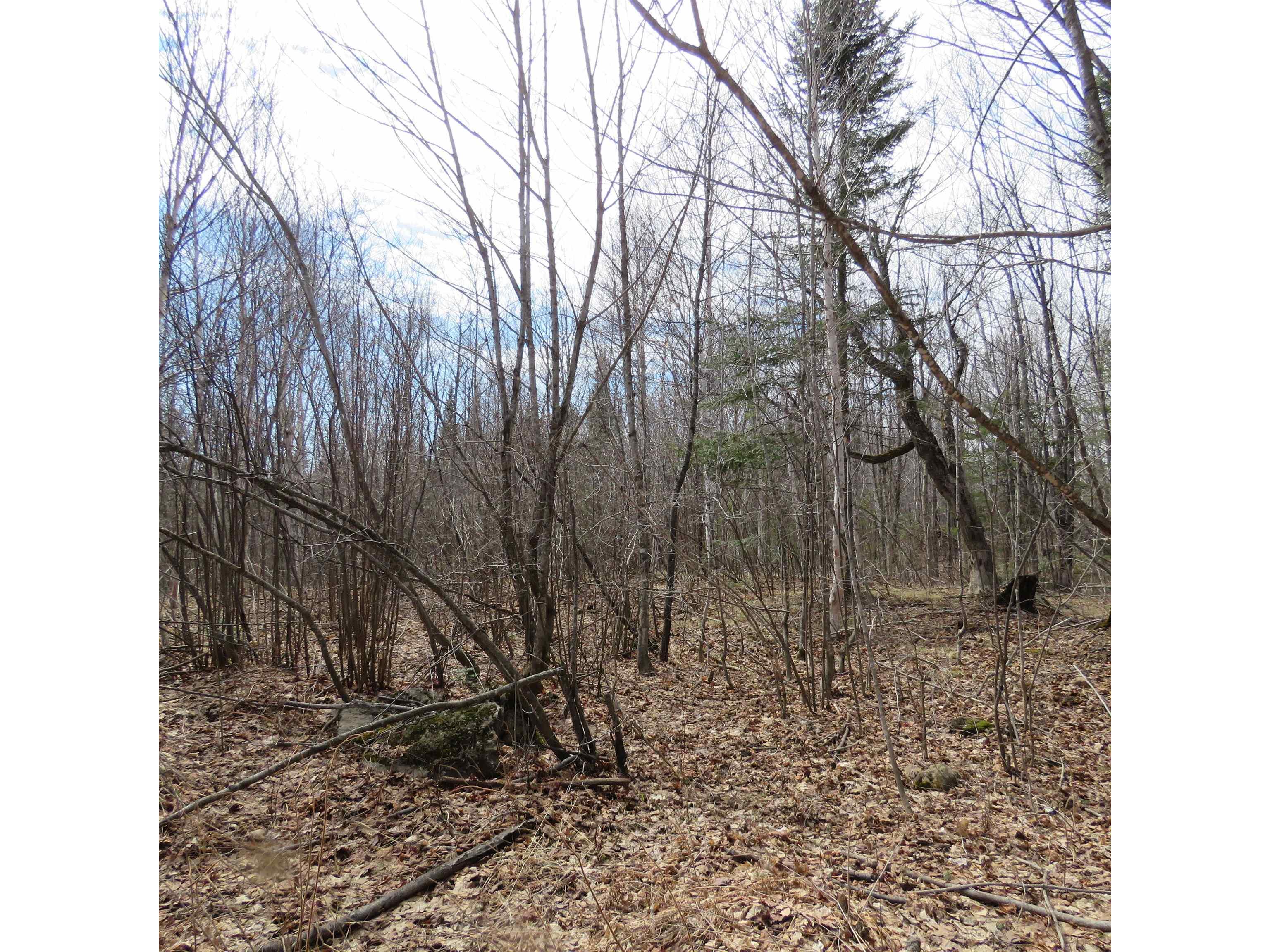 xxx County Hwy 8 Finland MN 55603 6118380 image36