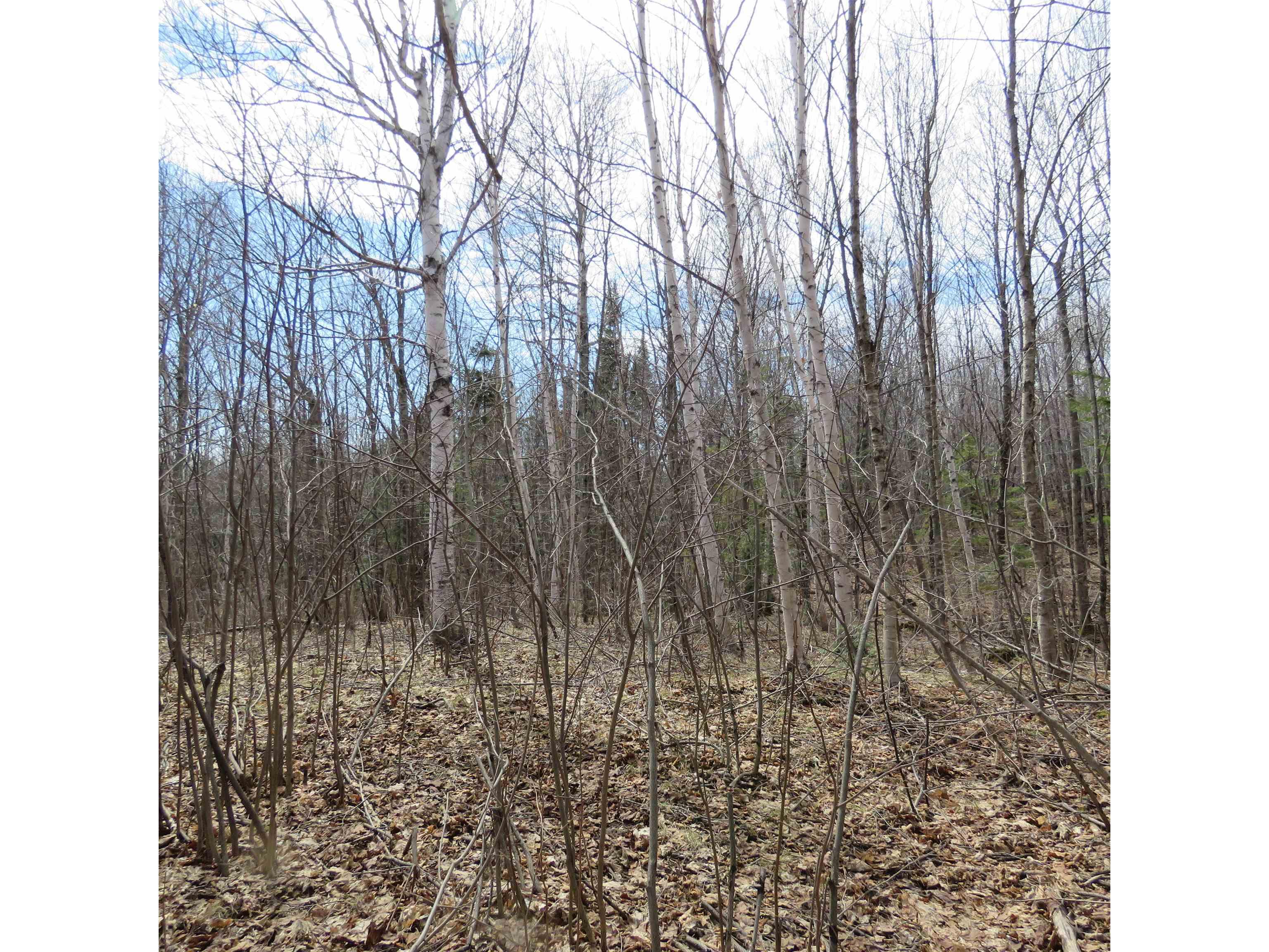 xxx County Hwy 8 Finland MN 55603 6118380 image38