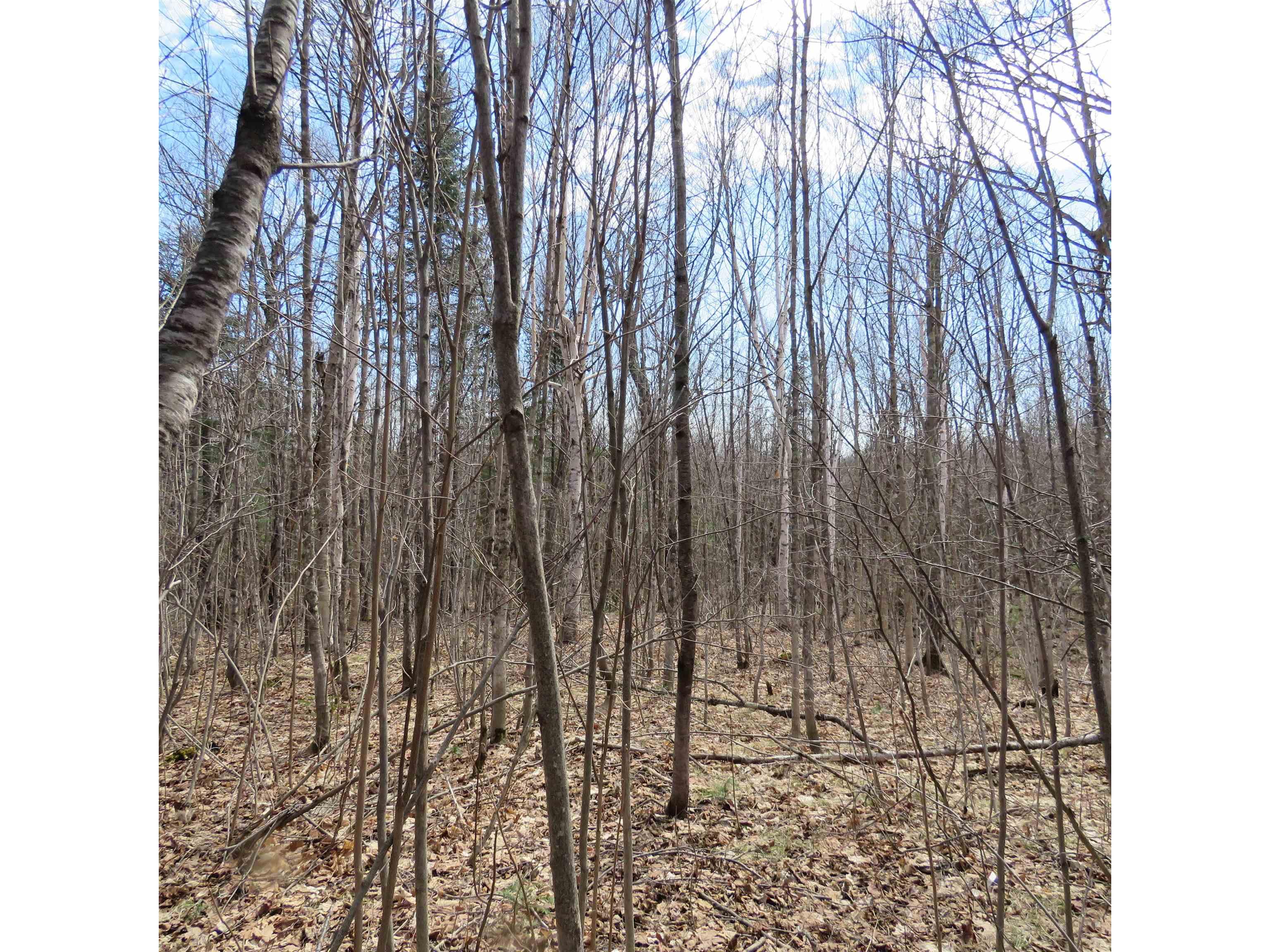 xxx County Hwy 8 Finland MN 55603 6118380 image39