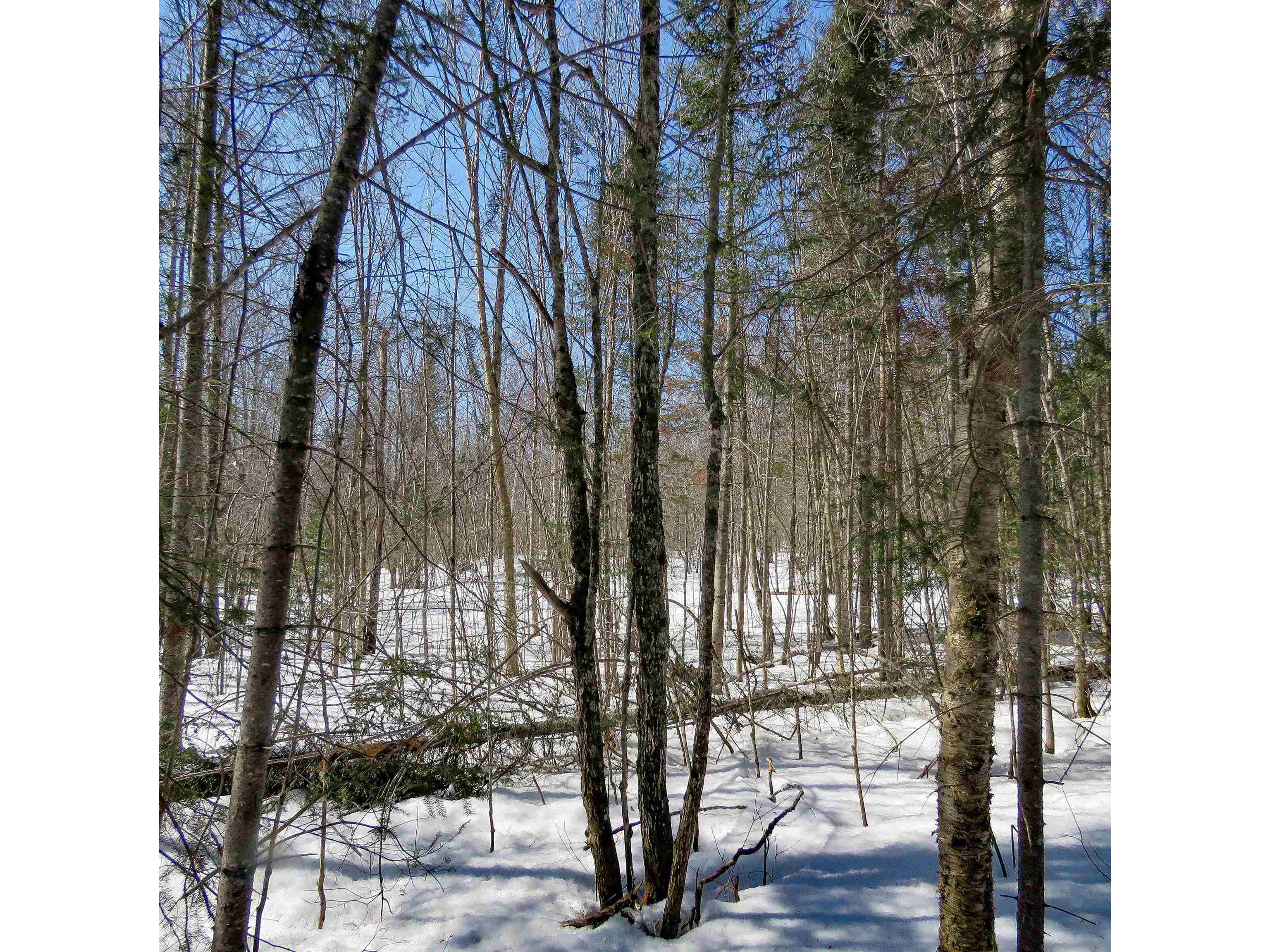 xxx County Hwy 8 Finland MN 55603 6118380 image4