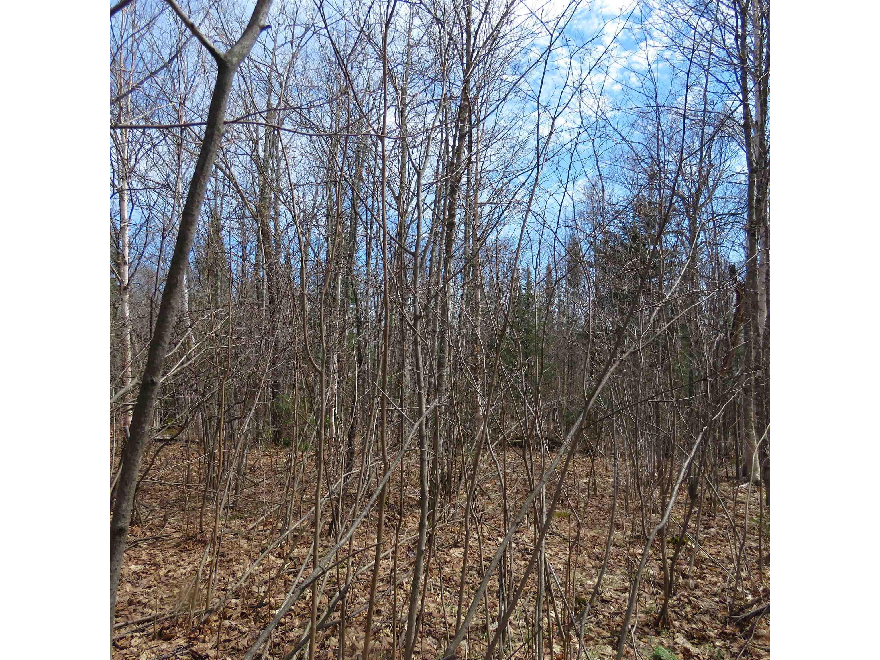 xxx County Hwy 8 Finland MN 55603 6118380 image40