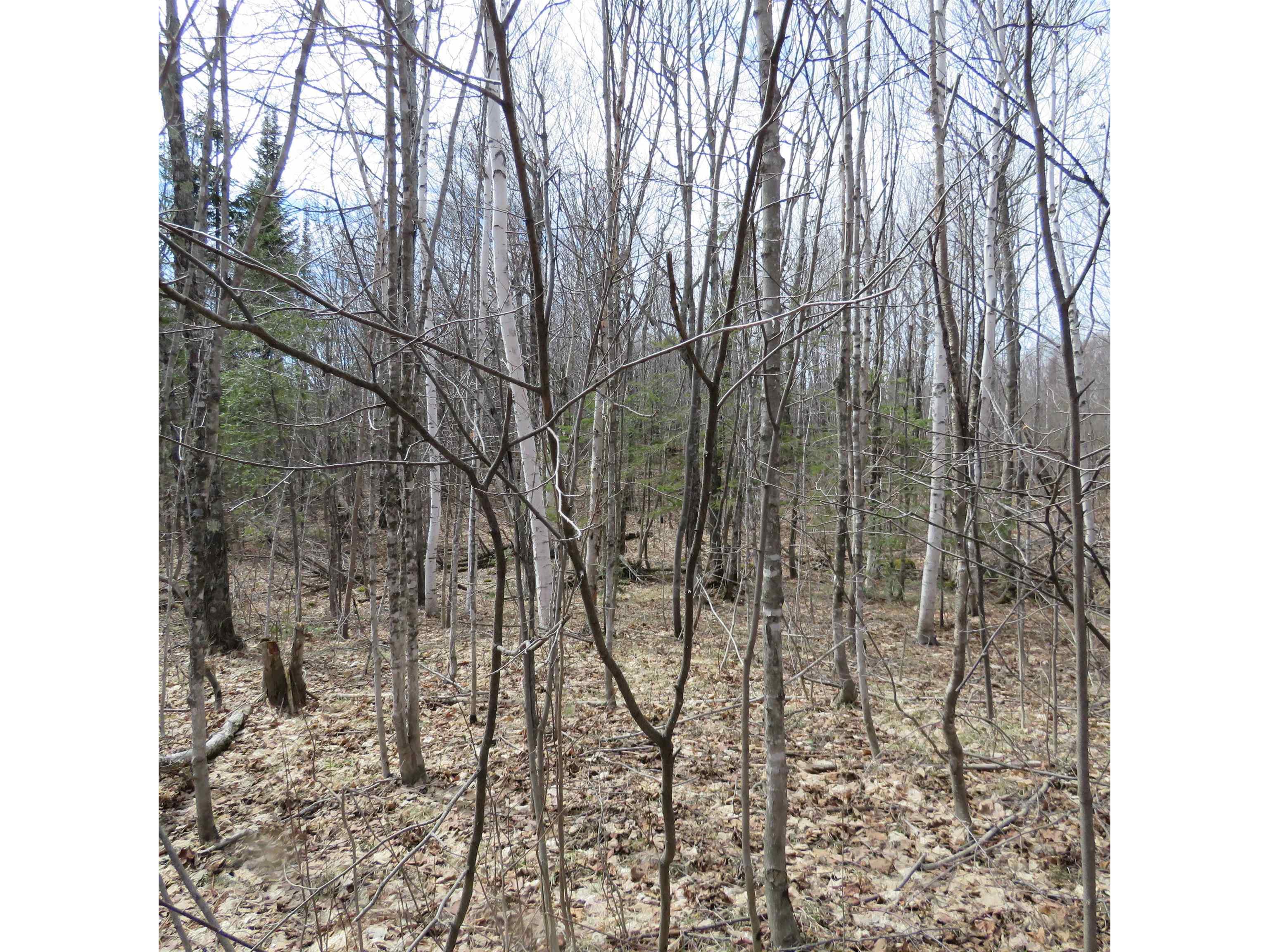 xxx County Hwy 8 Finland MN 55603 6118380 image43