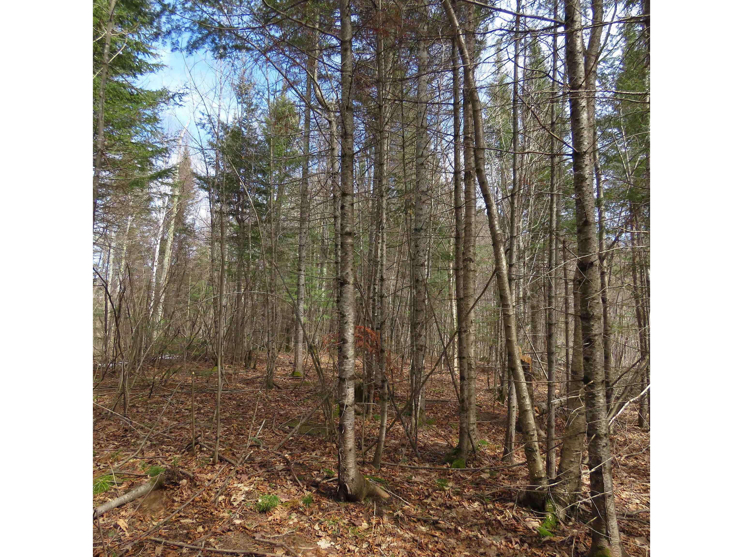 xxx County Hwy 8 Finland MN 55603 6118380 image46