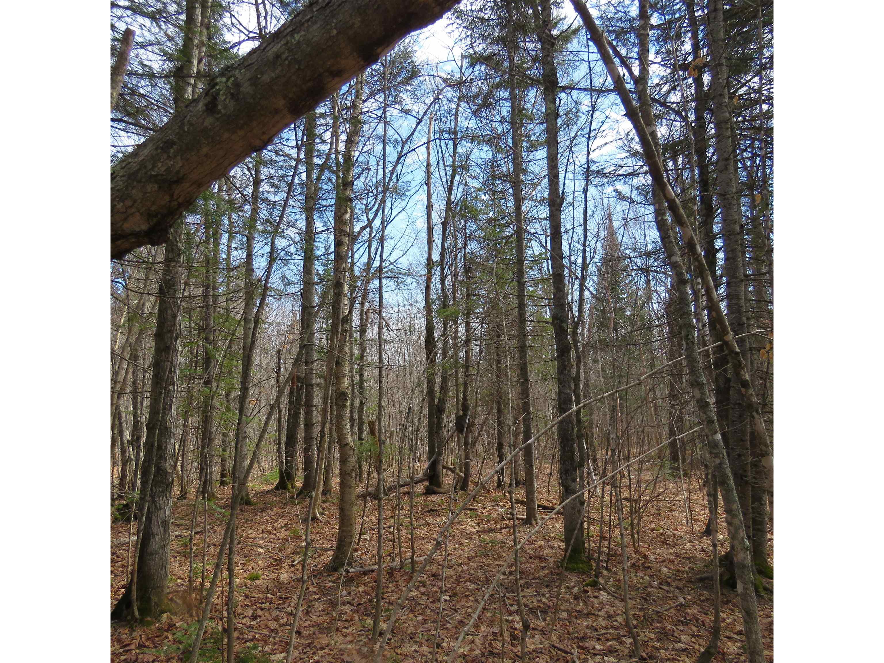 xxx County Hwy 8 Finland MN 55603 6118380 image48