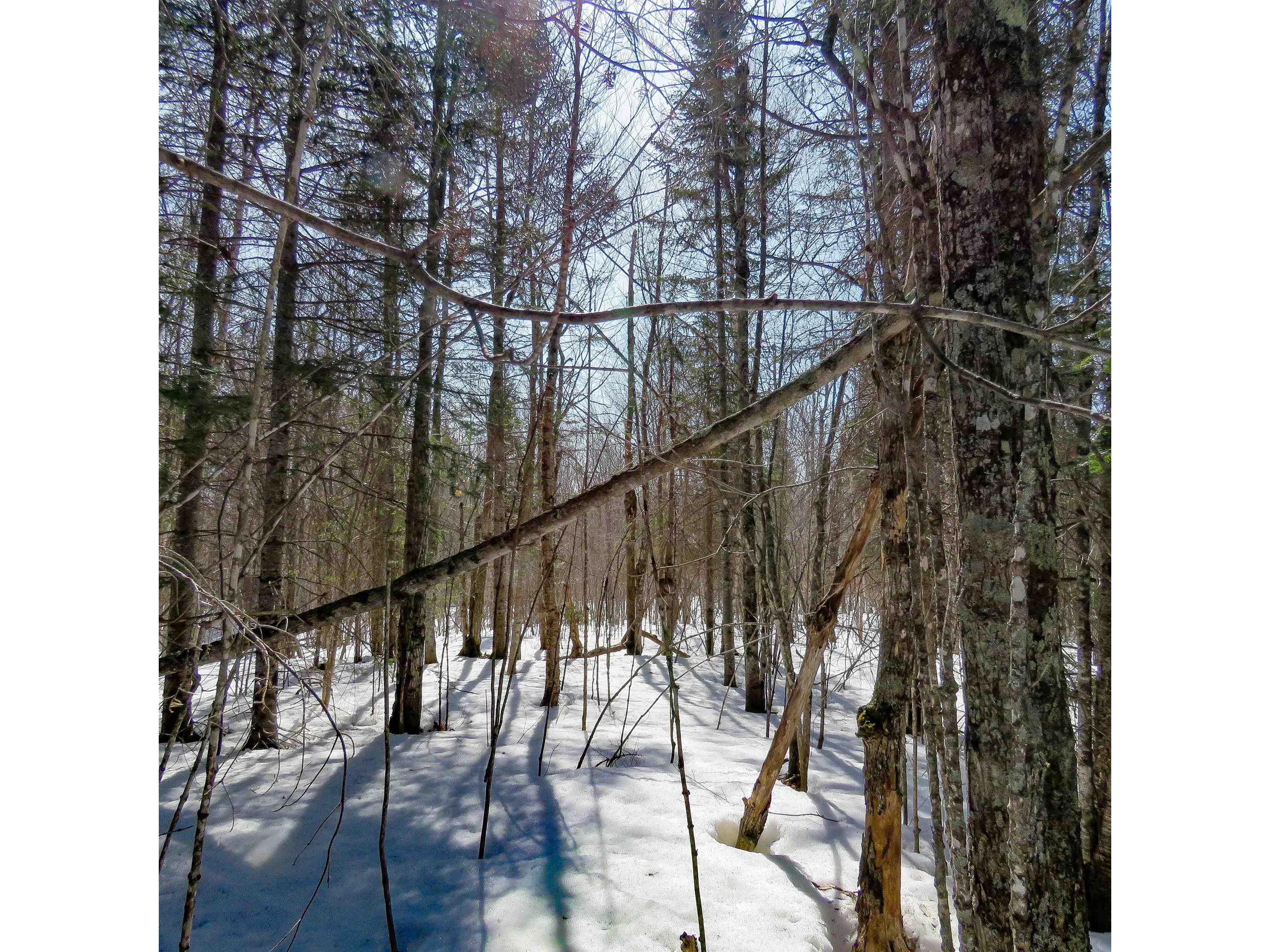 xxx County Hwy 8 Finland MN 55603 6118380 image5