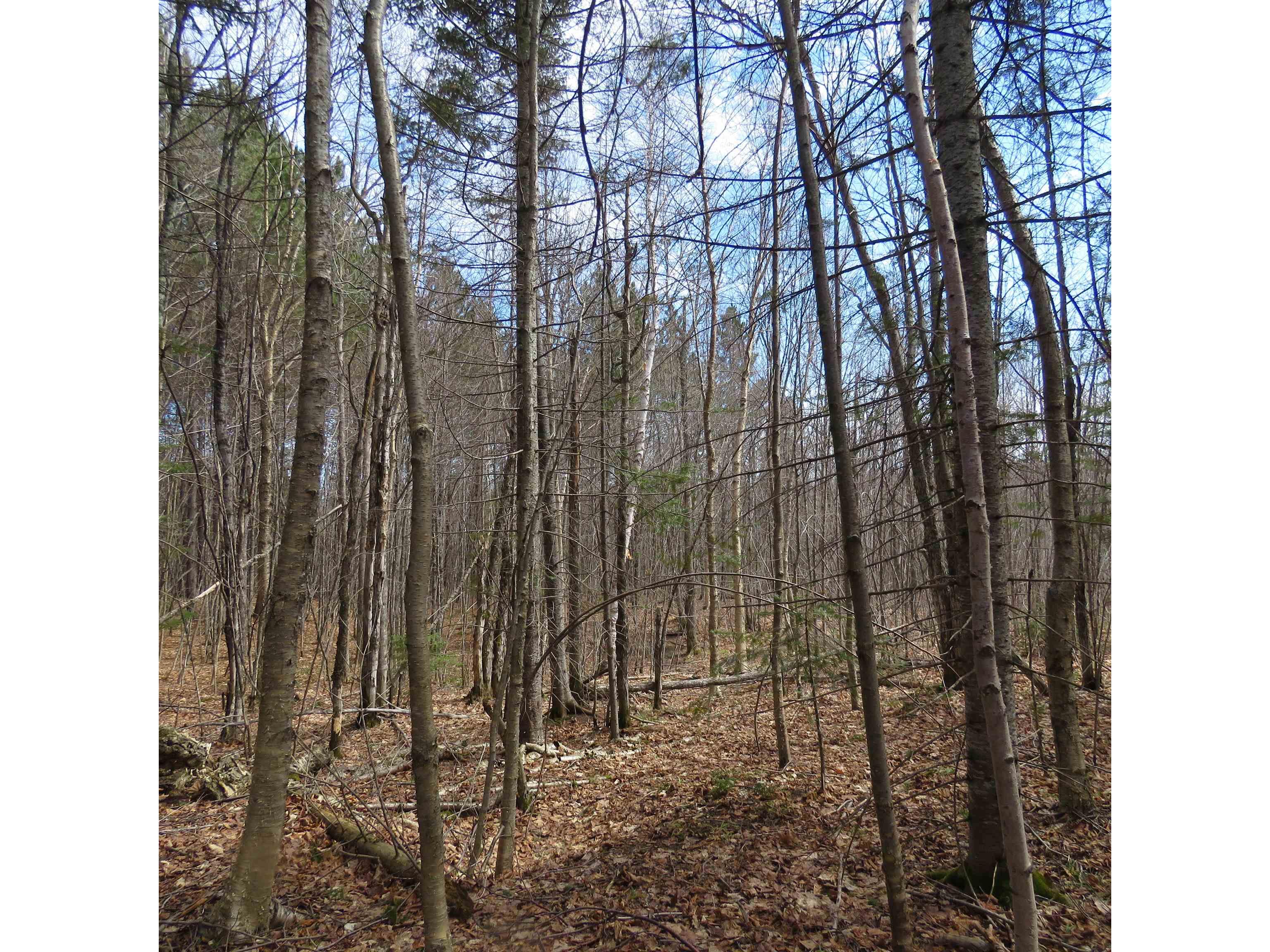 xxx County Hwy 8 Finland MN 55603 6118380 image50