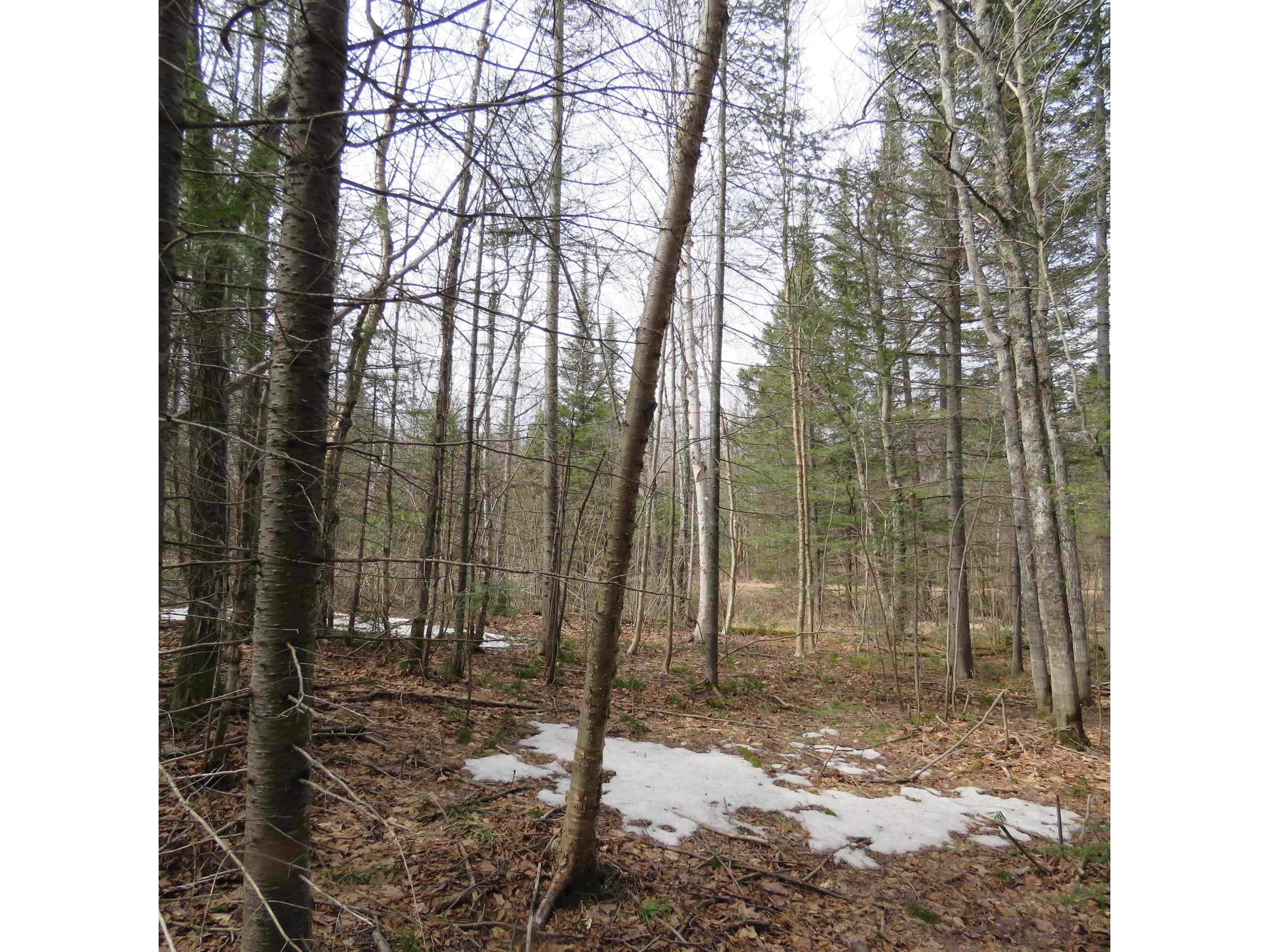 xxx County Hwy 8 Finland MN 55603 6118380 image51