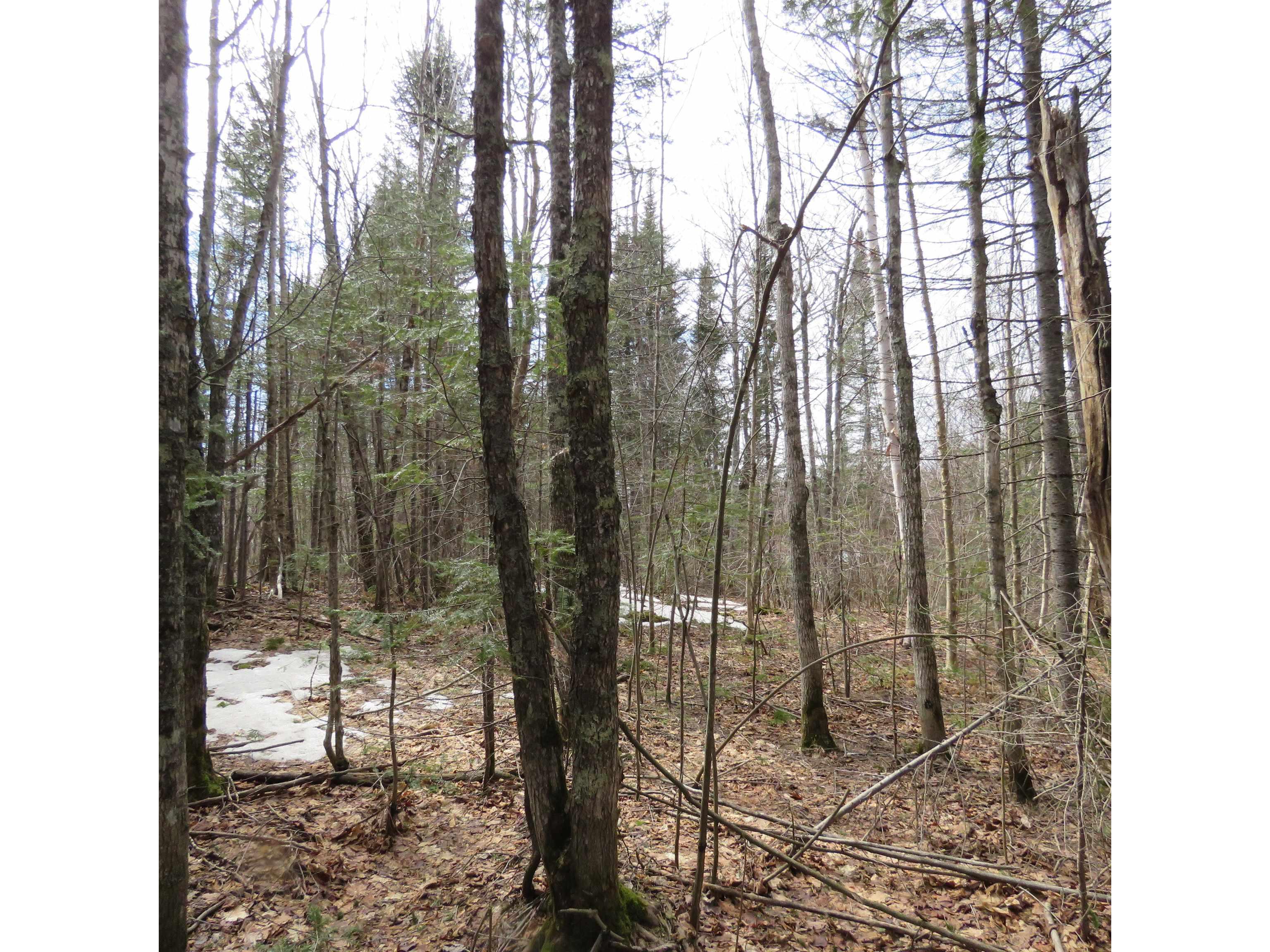 xxx County Hwy 8 Finland MN 55603 6118380 image52