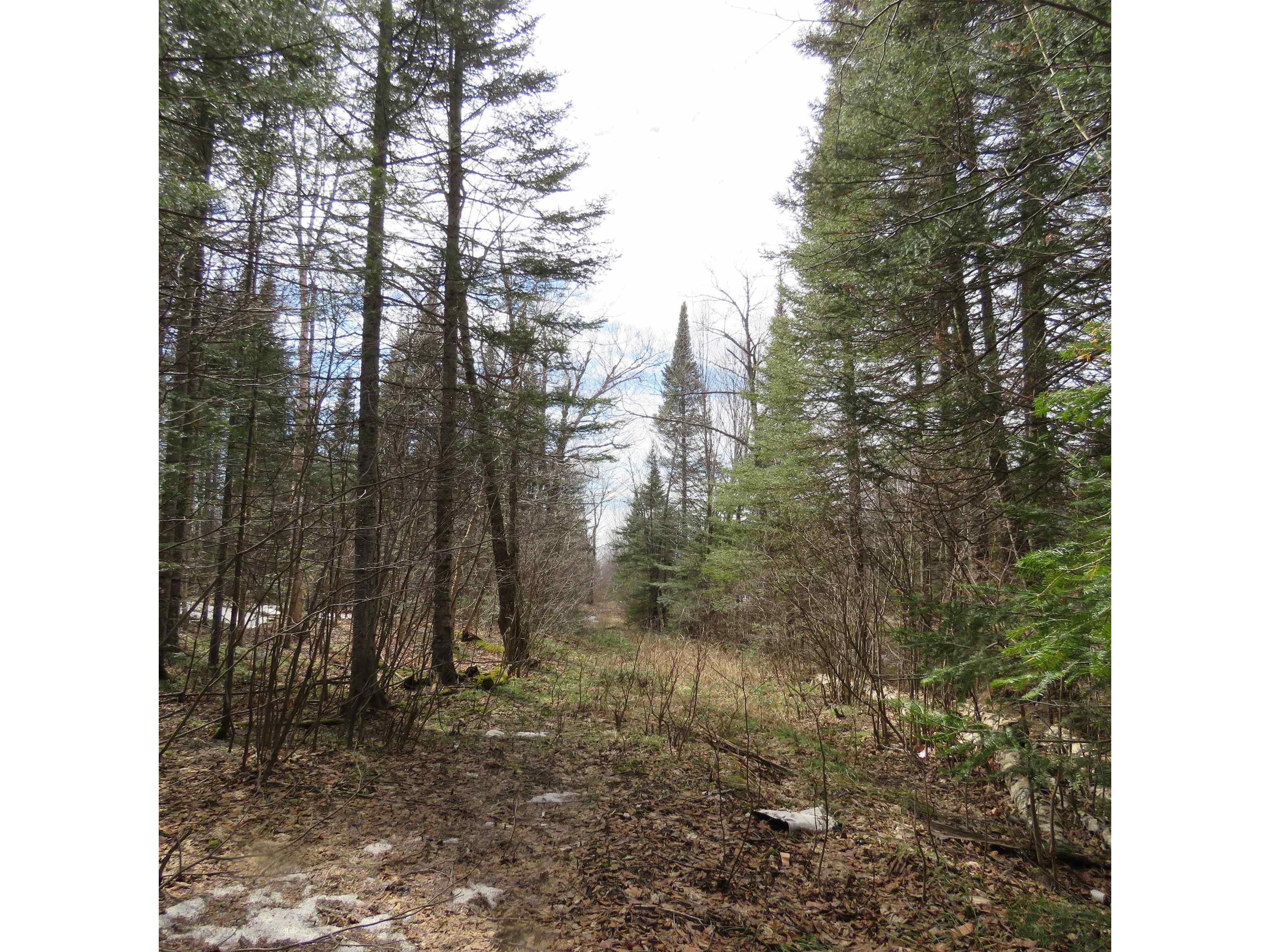 xxx County Hwy 8 Finland MN 55603 6118380 image53