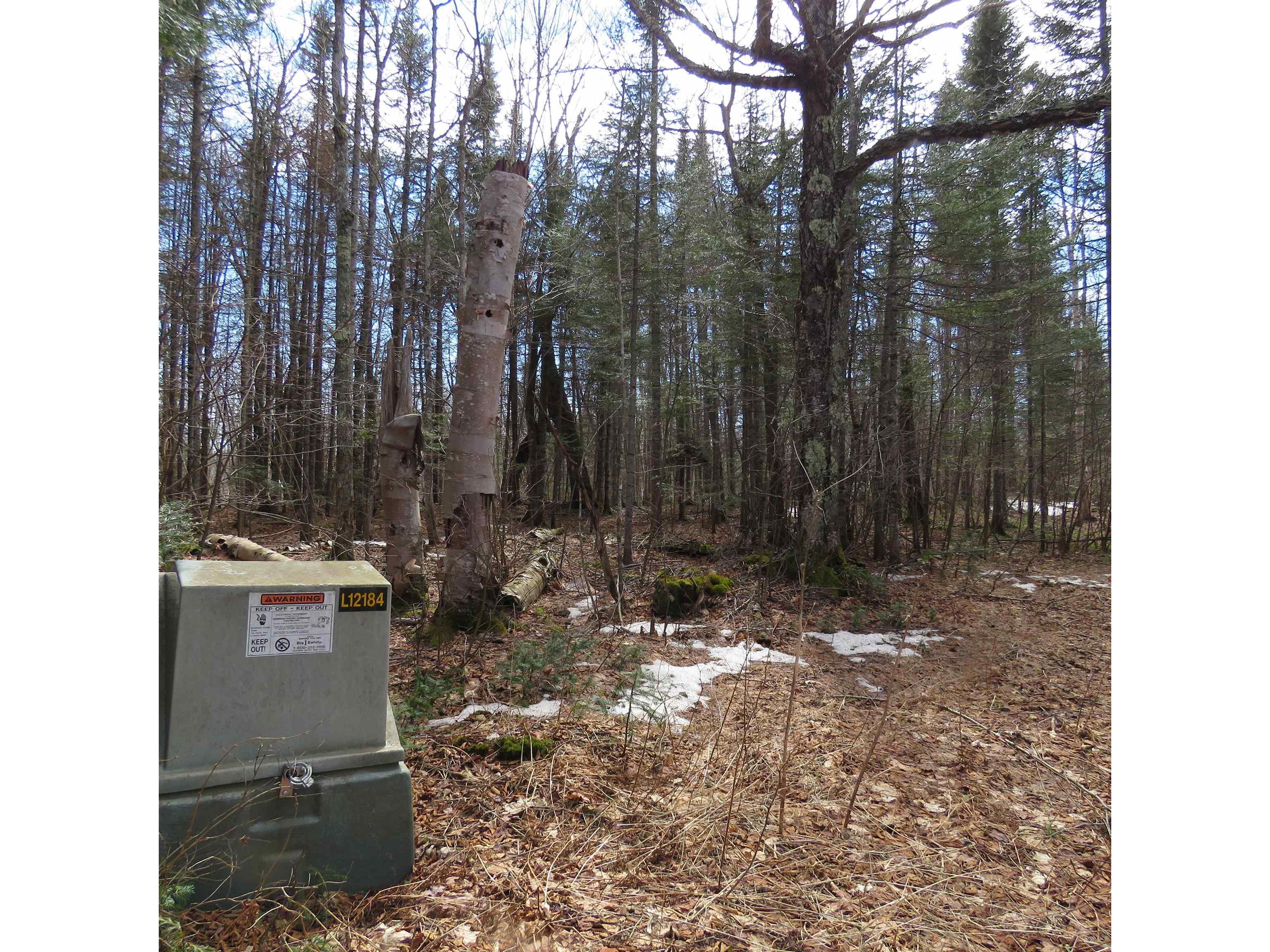 xxx County Hwy 8 Finland MN 55603 6118380 image54