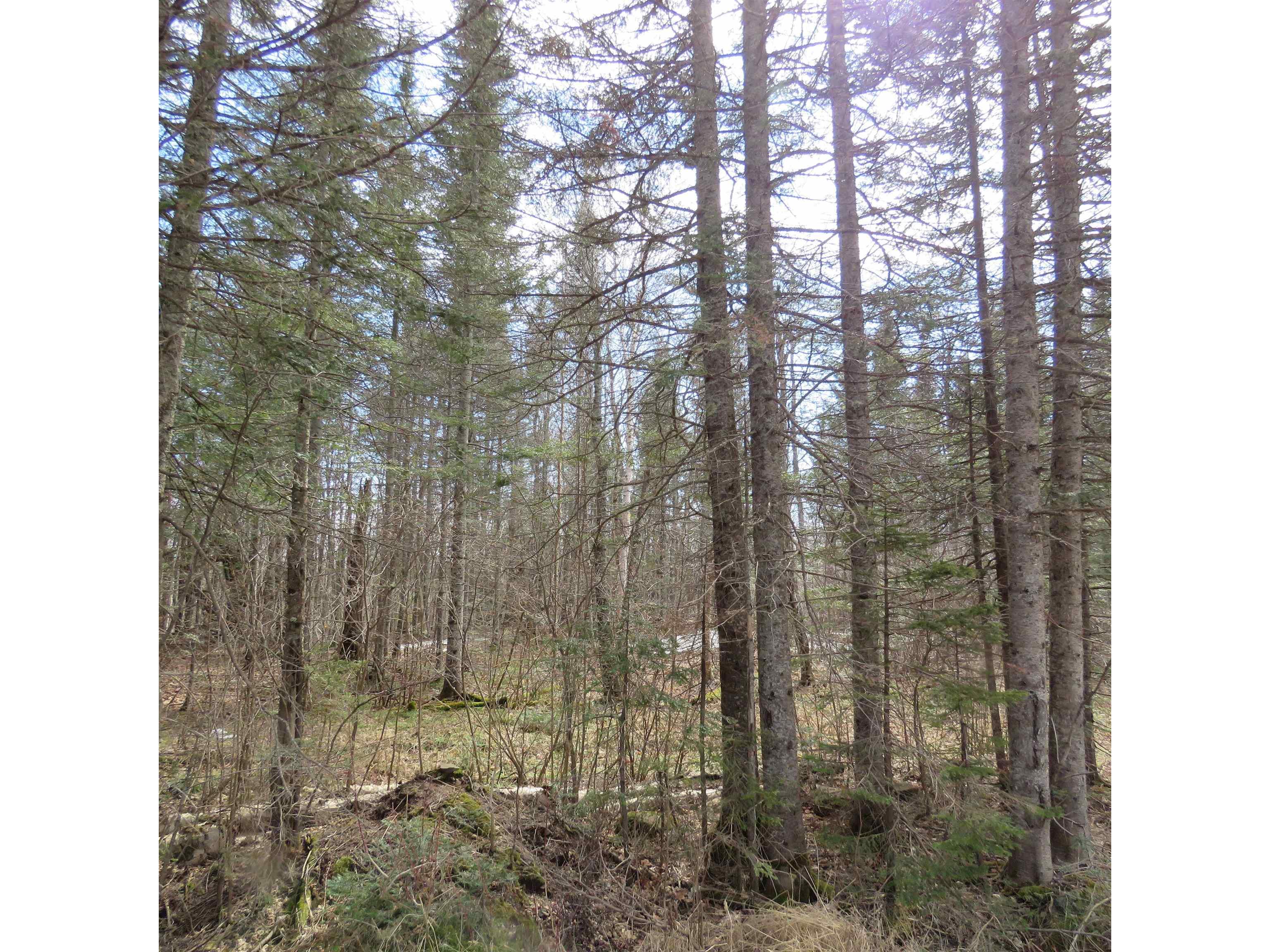 xxx County Hwy 8 Finland MN 55603 6118380 image57