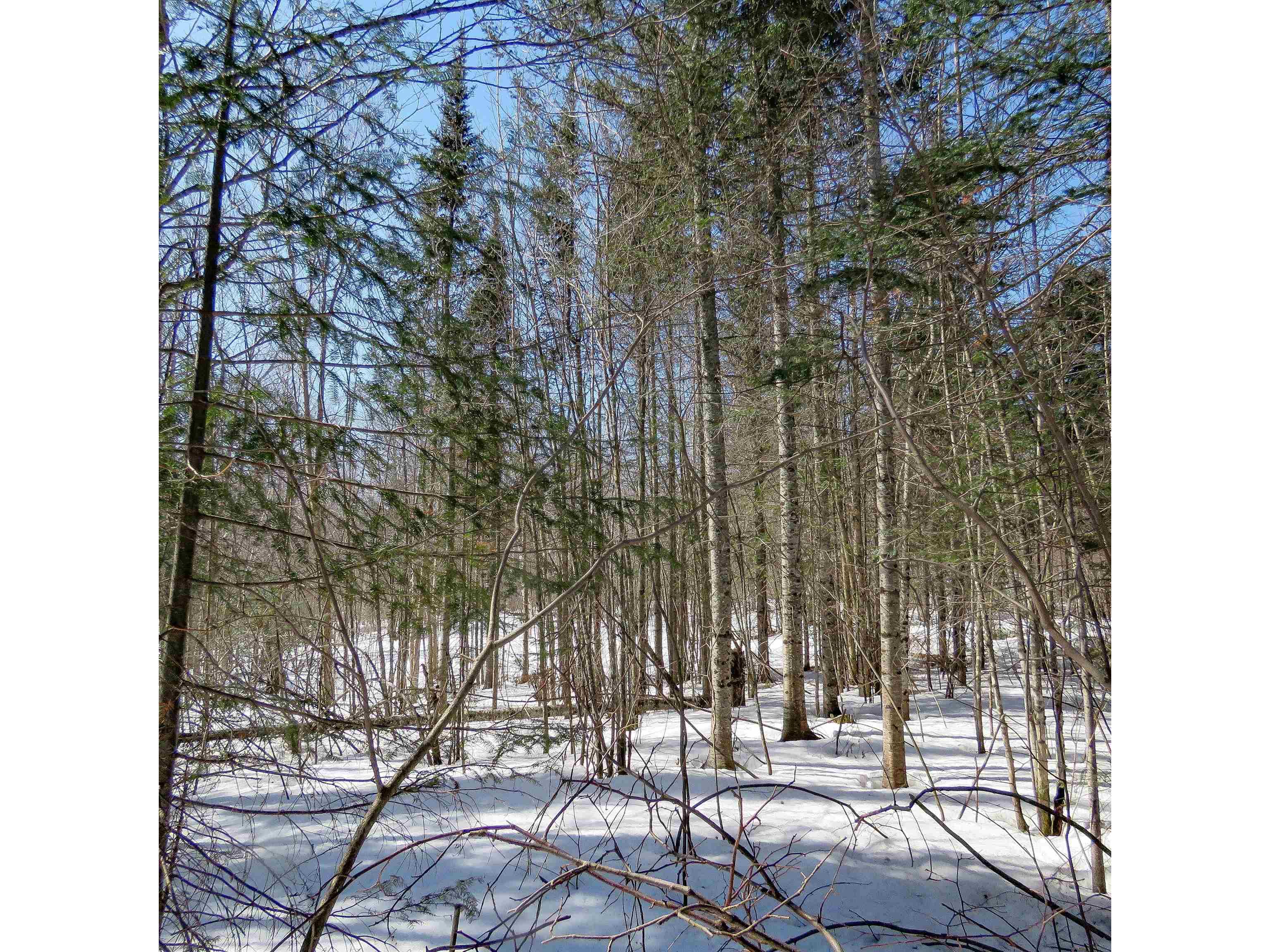 xxx County Hwy 8 Finland MN 55603 6118380 image6