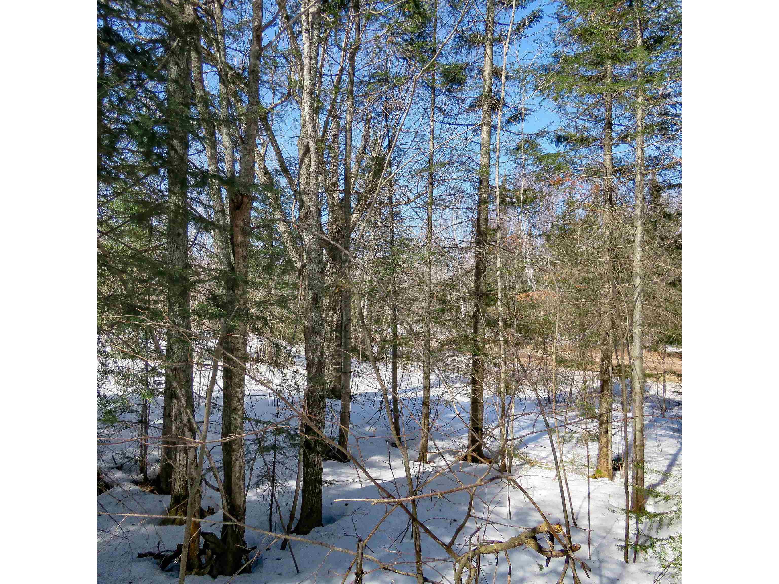 xxx County Hwy 8 Finland MN 55603 6118380 image7