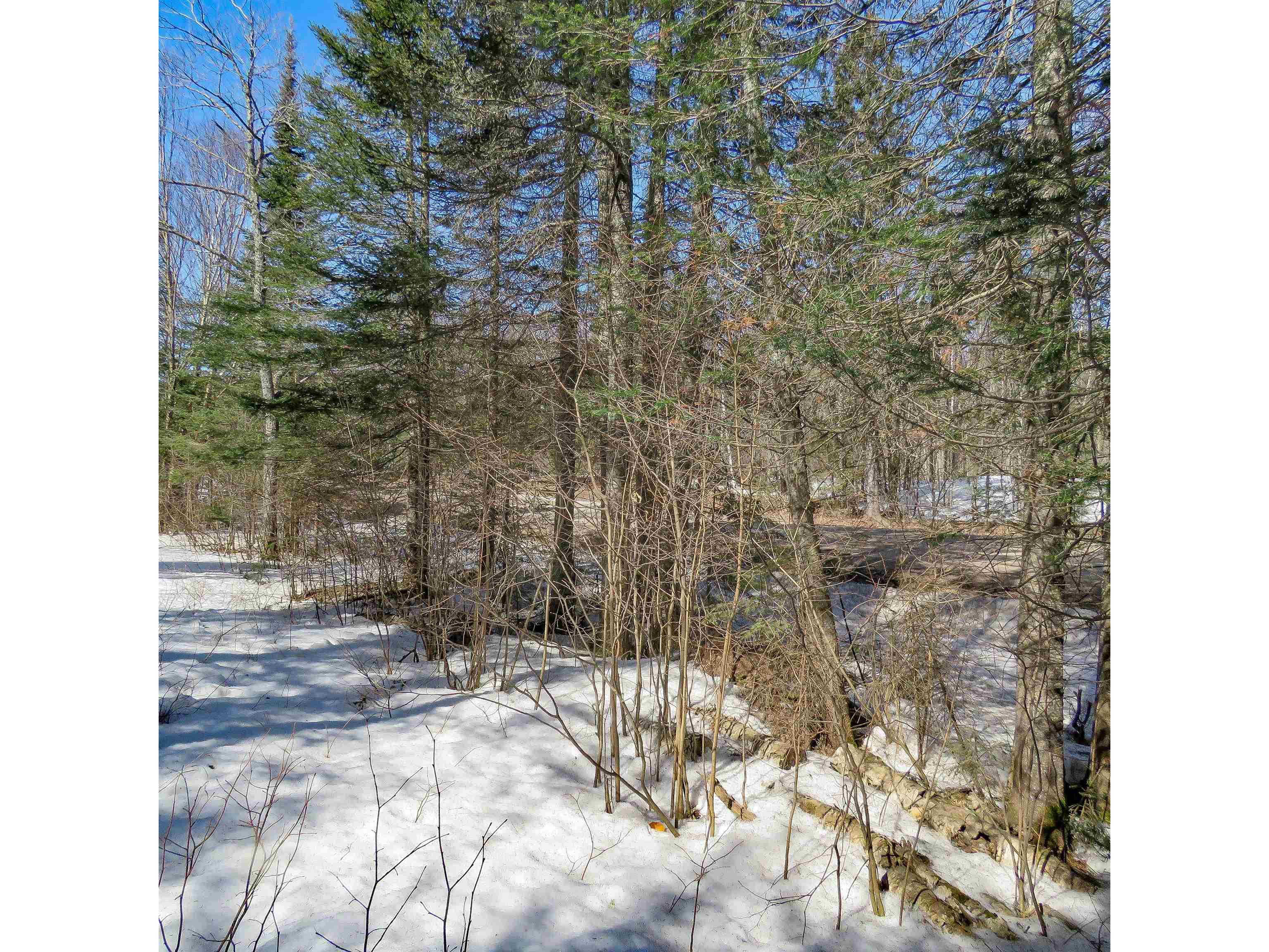 xxx County Hwy 8 Finland MN 55603 6118380 image8