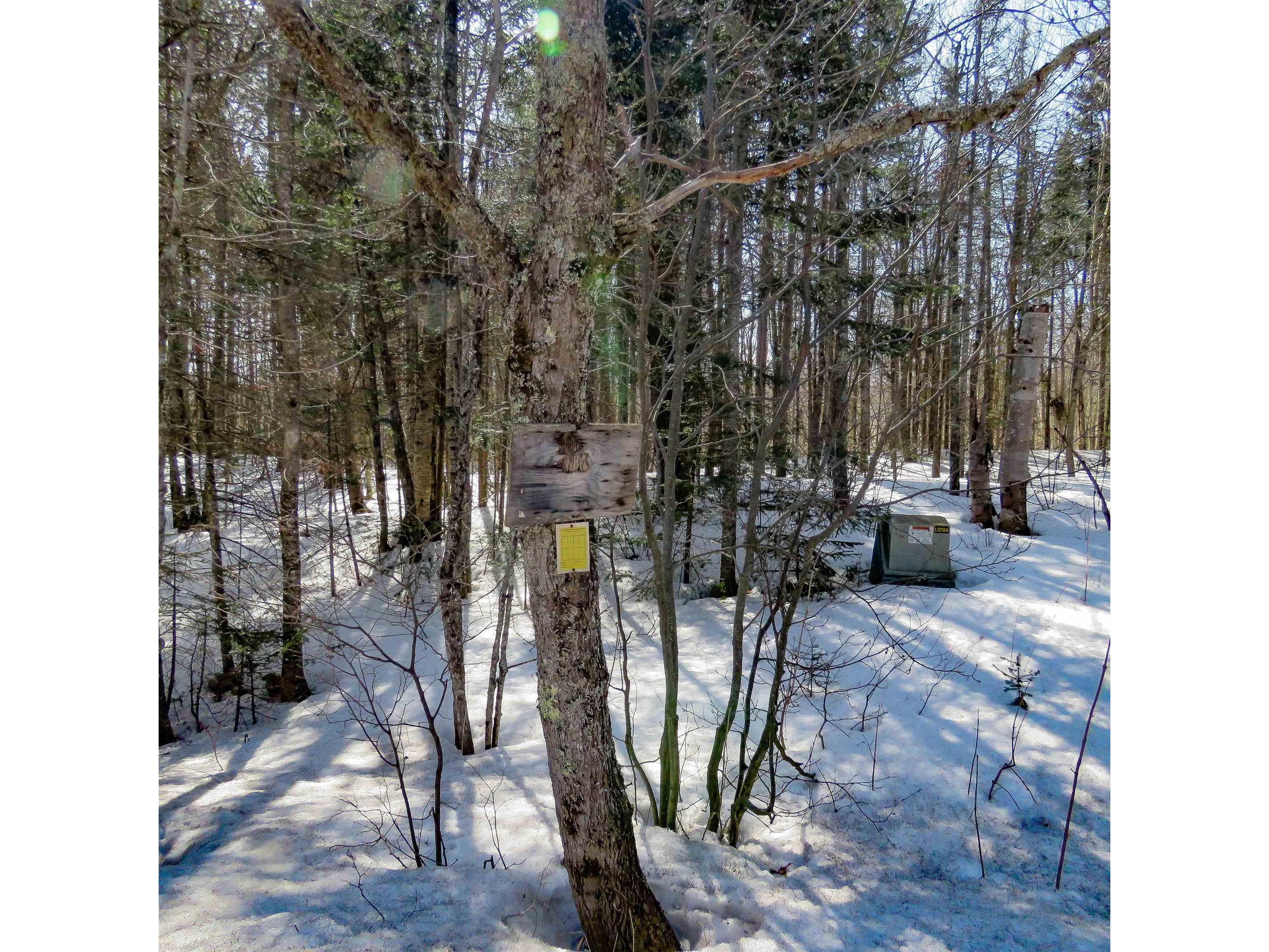 xxx County Hwy 8 Finland MN 55603 6118380 image9