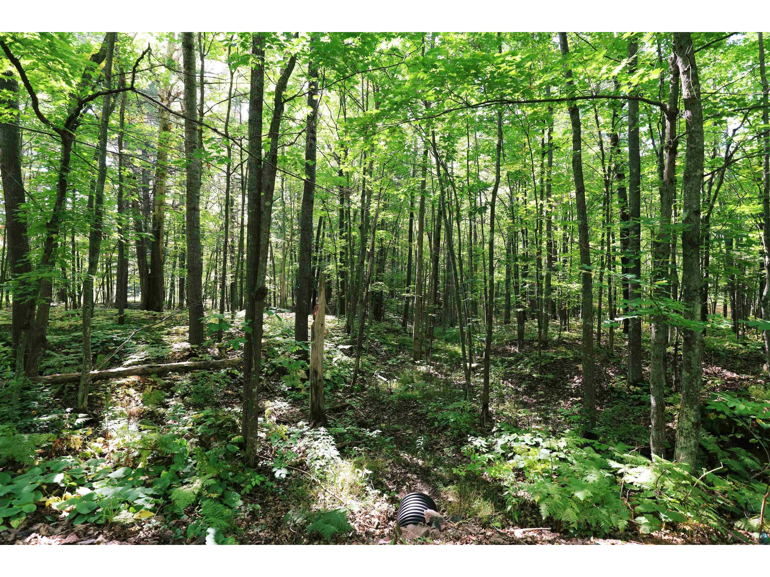 xxx County Hwy C Washburn WI 54891 6124207 image10