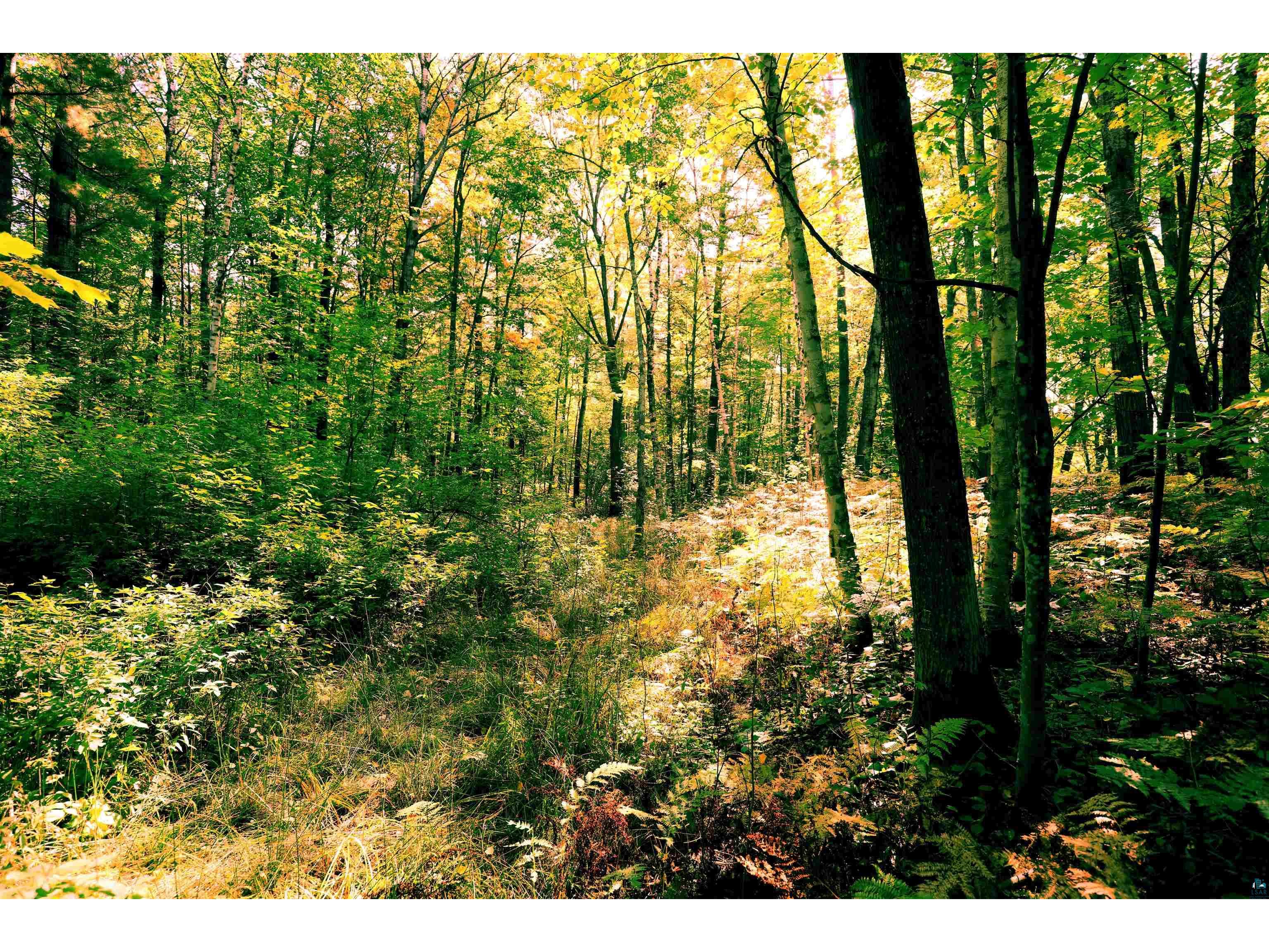 xxx County Hwy C Washburn WI 54891 6124207 image4