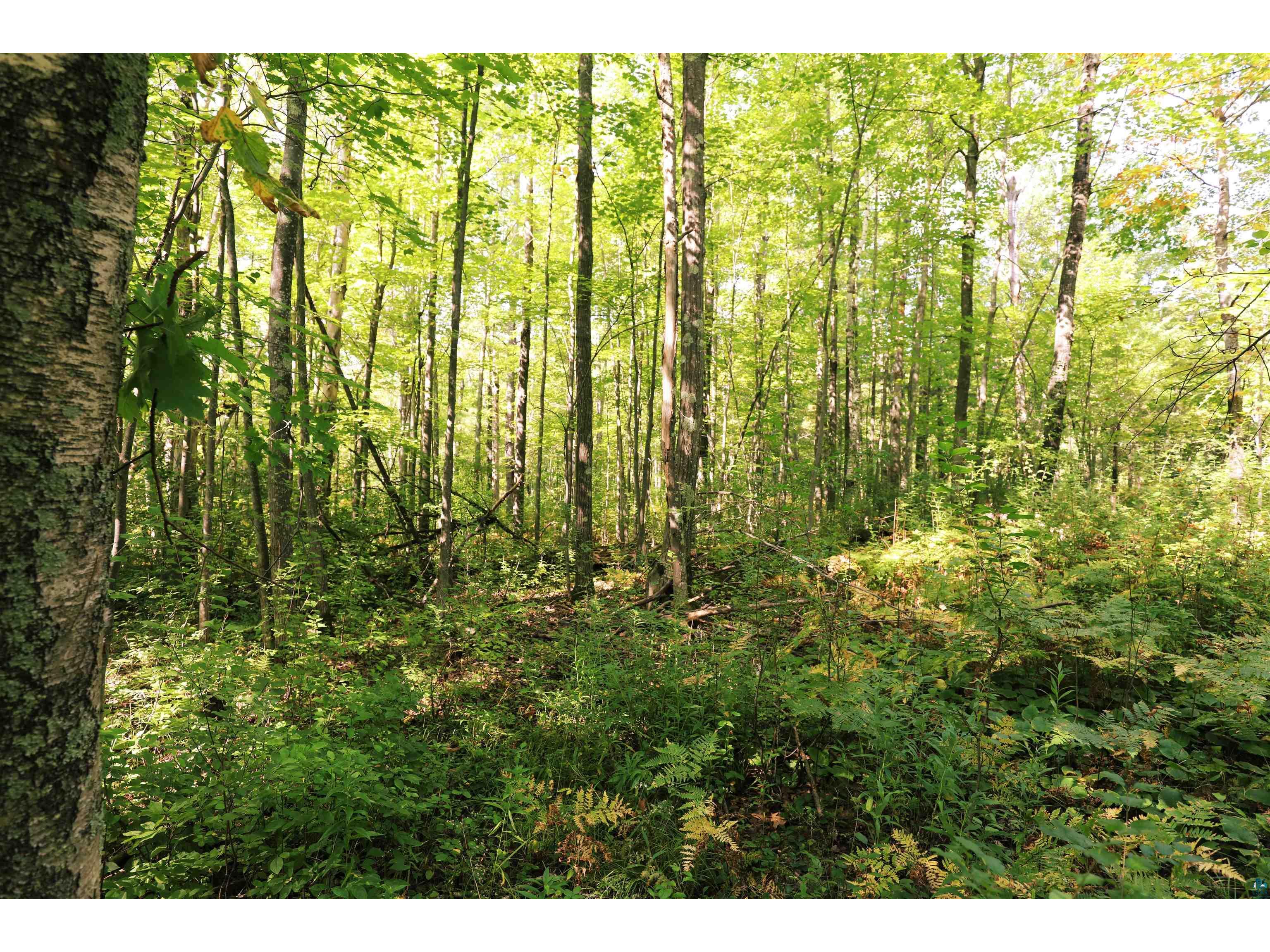 xxx County Hwy C Washburn WI 54891 6124207 image8